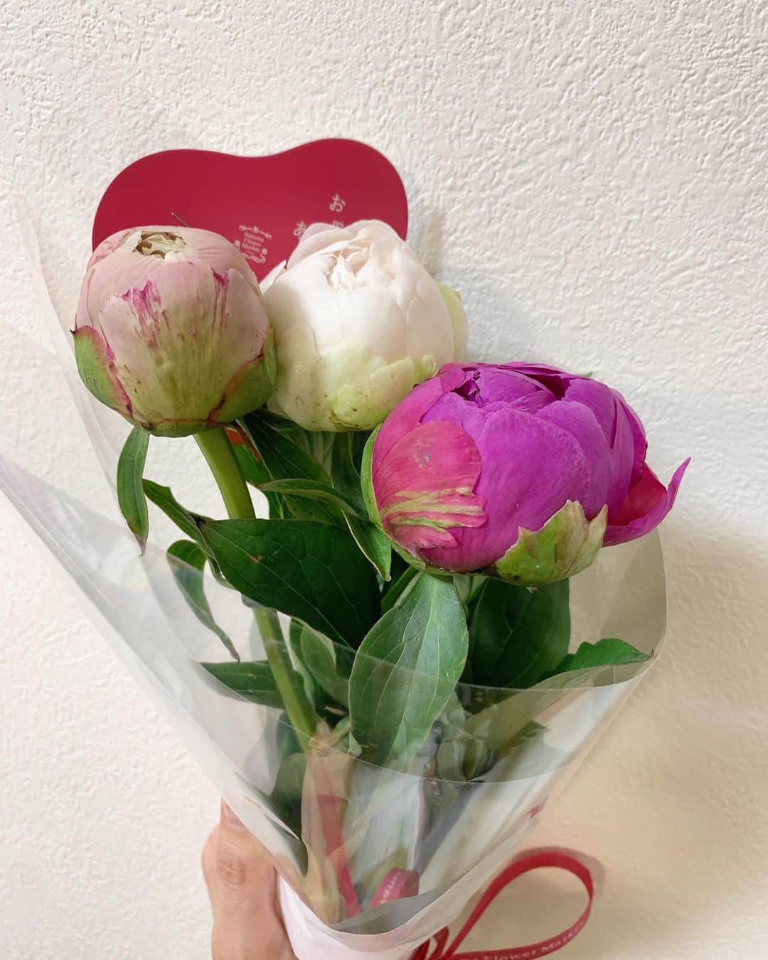 新保友映さんのインスタグラム写真 - (新保友映Instagram)「今日は母の日💐 私の大好きな芍薬の花が、花屋さんにあるかどうか確認しに行ったりしてくれながら、この花束を息子がプレゼントしてくれました🥹💕ありがたい…✨  そして、世の中の全てのお母さんたちへ…✨感謝です🌸  #母の日 #happymothersday  #flowers  #thankyou #芍薬 #しゃくやく  #シャクヤク」5月14日 21時48分 - tomoemoe0520