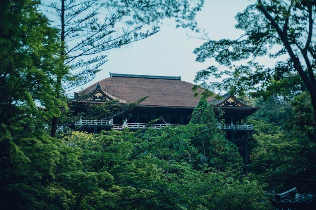 清水寺のインスタグラム：「Hondo | 本堂　新緑」