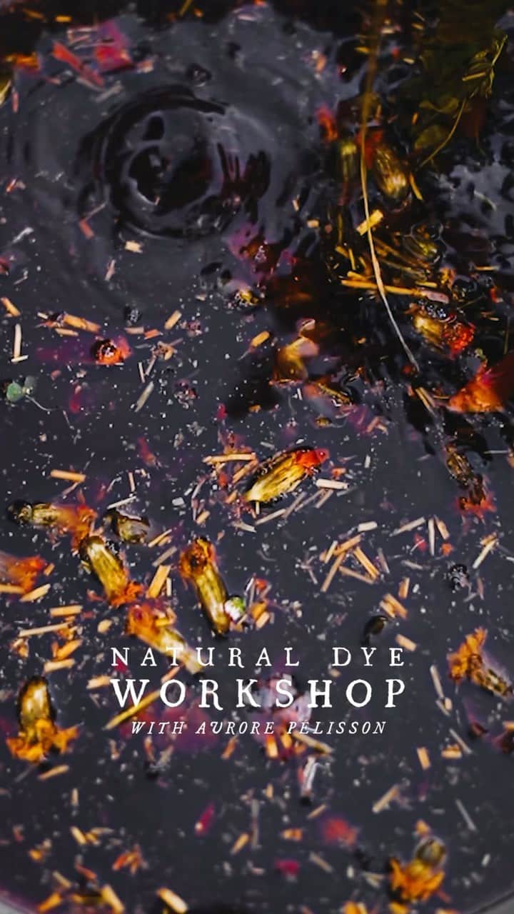 Linda Lomelinoのインスタグラム：「Natural dye workshop with the incredible @aurore.pelisson at last week’s Photomorphosis workshop with @yagobruna, @carolina_ferrer_ and @adelasterfoodtextures ✨」