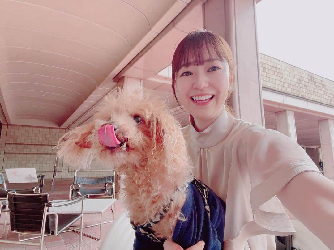 山口真奈さんのインスタグラム写真 - (山口真奈Instagram)「15歳のおじいちゃんわんこと #宮城県美術館 へ  カフェ モーツァルト・フィガロは テラス席はわんこもOK🐕  美術館は6月からのリニューアルを前にぐりとぐらなどで知られる 山脇百合子さんの原画などが展示されていました📙」5月14日 22時10分 - manayamaguchi0417