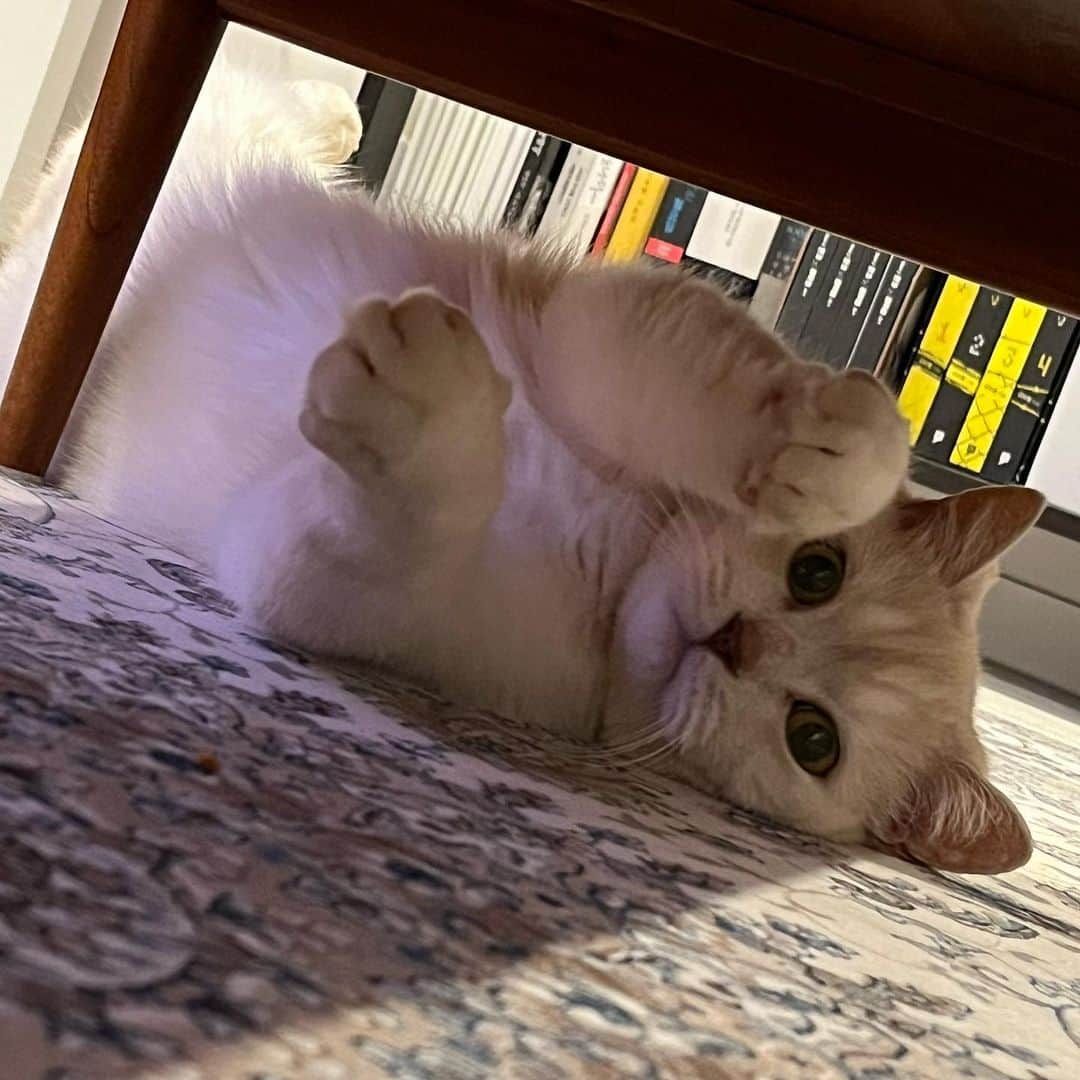 ソン・ジインのインスタグラム：「❤️‍🩹💝」