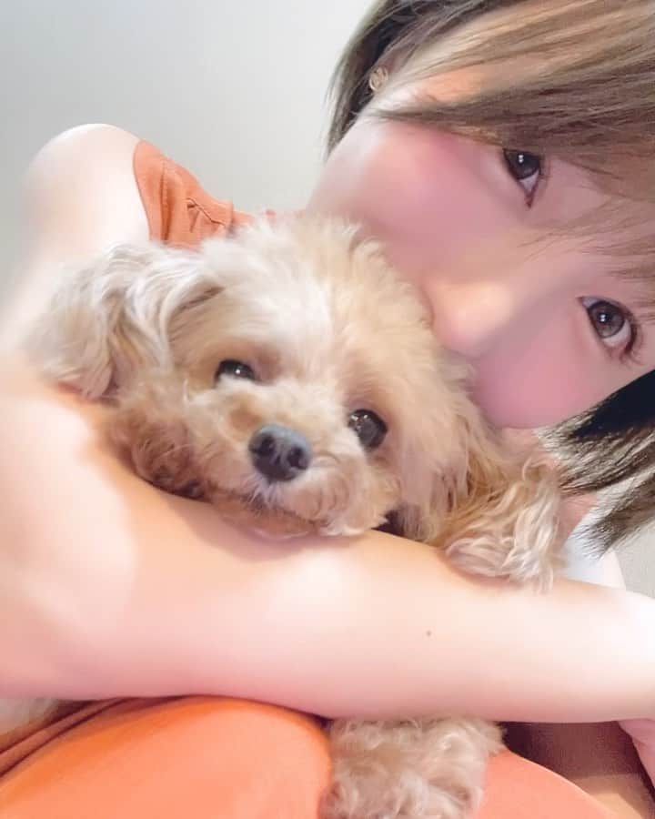 AYAのインスタグラム：「むぅちゃん♡ Happybirthdayꕤ︎︎·͜· ︎︎ 7さいおめでとう(*˙˘˙*) 長生きしてね。  ピントぶれぶれw  #dogphoto #dogmodel #愛犬の誕生日 #うちのこ記念日 #7歳誕生日 #今の時間を大切に #犬ポトレ #写真好きな人と繋がりたい #shooting  #패션 #옷 #make #makeup #followme #happybirthday #一瞬の思い出を #わんこと撮影 #hairarrange  #愛犬撮り #毎日をありがとう  #犬すたぐらむ #わんこのいる生活 #いぬバカ部 #わんこカメラ部 #フリーモデル #dog#instalovers #おさんぽ🐶 #愛犬は家族 #愛犬との思い出」