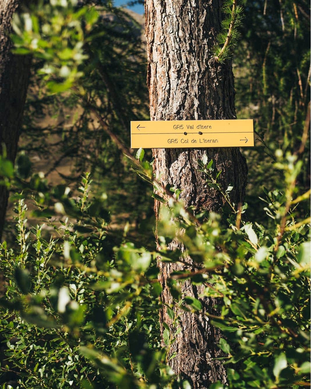 ロシニョールさんのインスタグラム写真 - (ロシニョールInstagram)「Explore the best spots! ⛰️🤳  Plan your trails and experience endless hiking opportunities in the heart of the gorgeous Tarentaise Valley. @onpiste.app @blackandwood_   #Anotherbestday #Onpiste」5月15日 2時00分 - rossignol