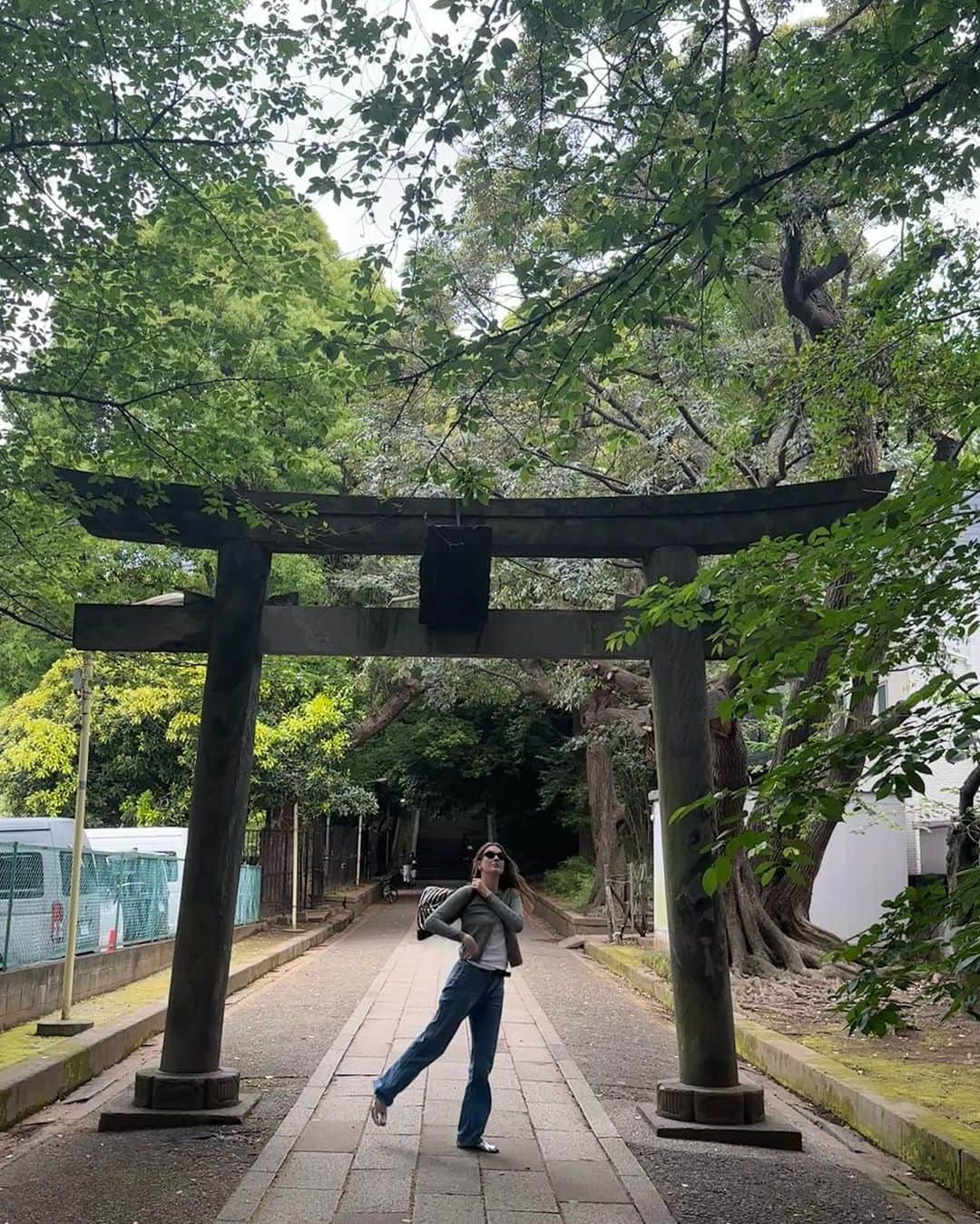 のインスタグラム：「lookin good, feline good ≧^◡^≦」