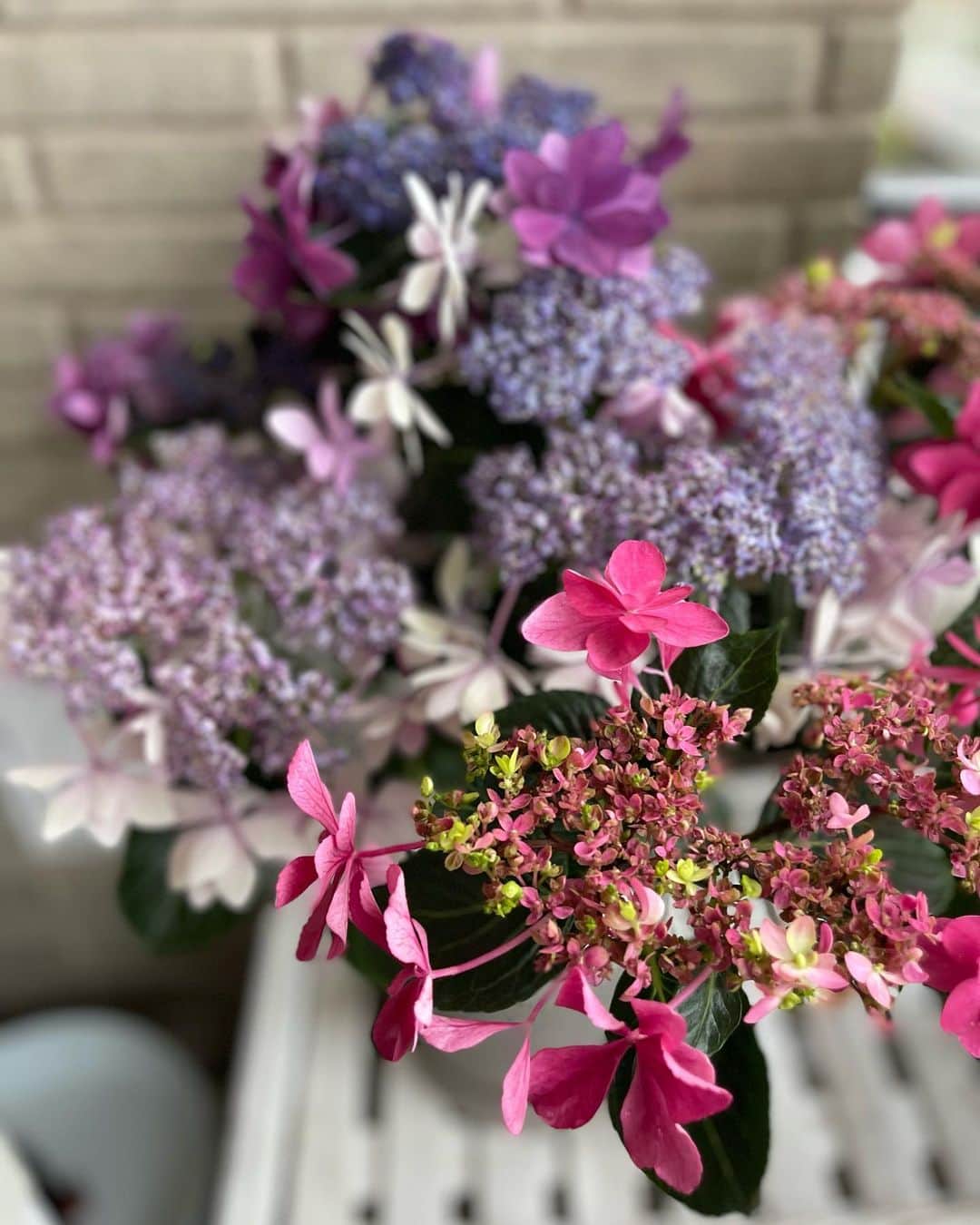 前園真聖さんのインスタグラム写真 - (前園真聖Instagram)「雨が似合う紫陽花。 #紫陽花 #アジサイ #ダンスパーティー #ガクアジサイ #カシワバアジサイ #花のある暮らし」5月15日 1時56分 - maezono_masakiyo