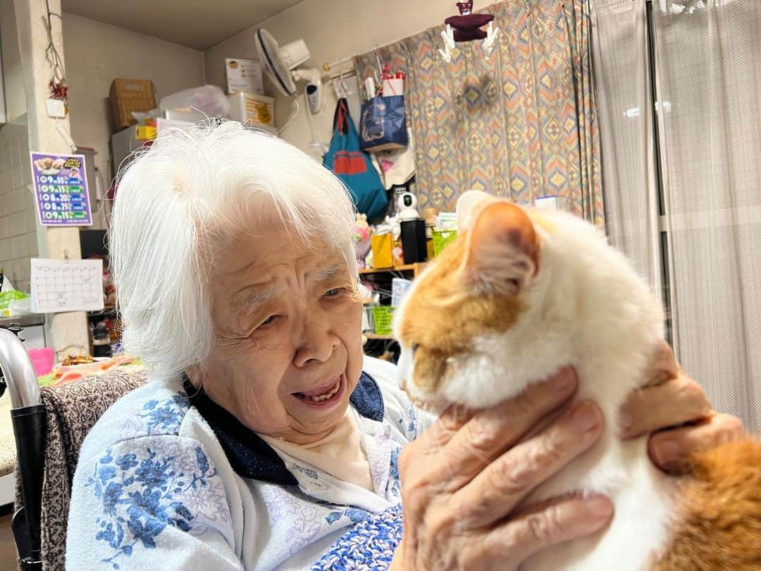 Kachimo Yoshimatsuさんのインスタグラム写真 - (Kachimo YoshimatsuInstagram)「こう見えて前足踏ん張ってる。  本当は逃げたい｡  #うちの猫ら #猫 #ねこ #ニャンスタグラム #oinari #バーバと猫 #バーバ #にゃんすたぐらむ #ねこのきもち #cat #ネコ #catstagram #ネコ部 http://kachimo.exblog.jp」5月15日 13時04分 - kachimo