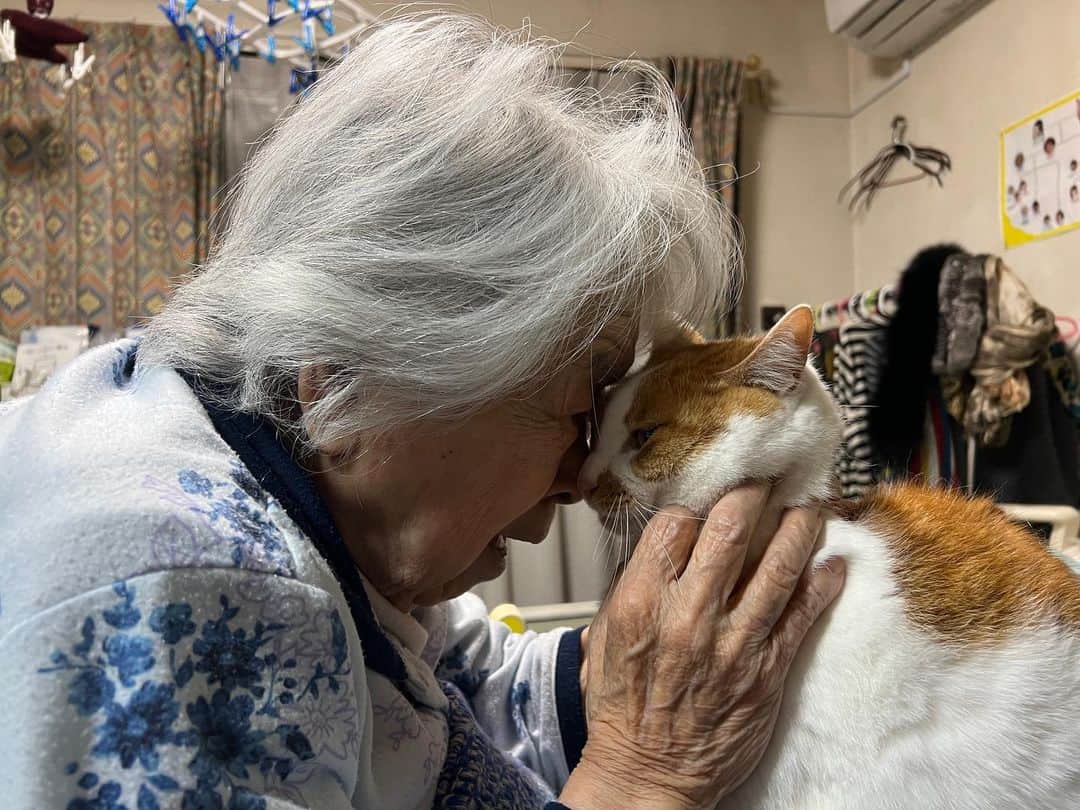 Kachimo Yoshimatsuのインスタグラム：「こう見えて前足踏ん張ってる。  本当は逃げたい｡  #うちの猫ら #猫 #ねこ #ニャンスタグラム #oinari #バーバと猫 #バーバ #にゃんすたぐらむ #ねこのきもち #cat #ネコ #catstagram #ネコ部 http://kachimo.exblog.jp」