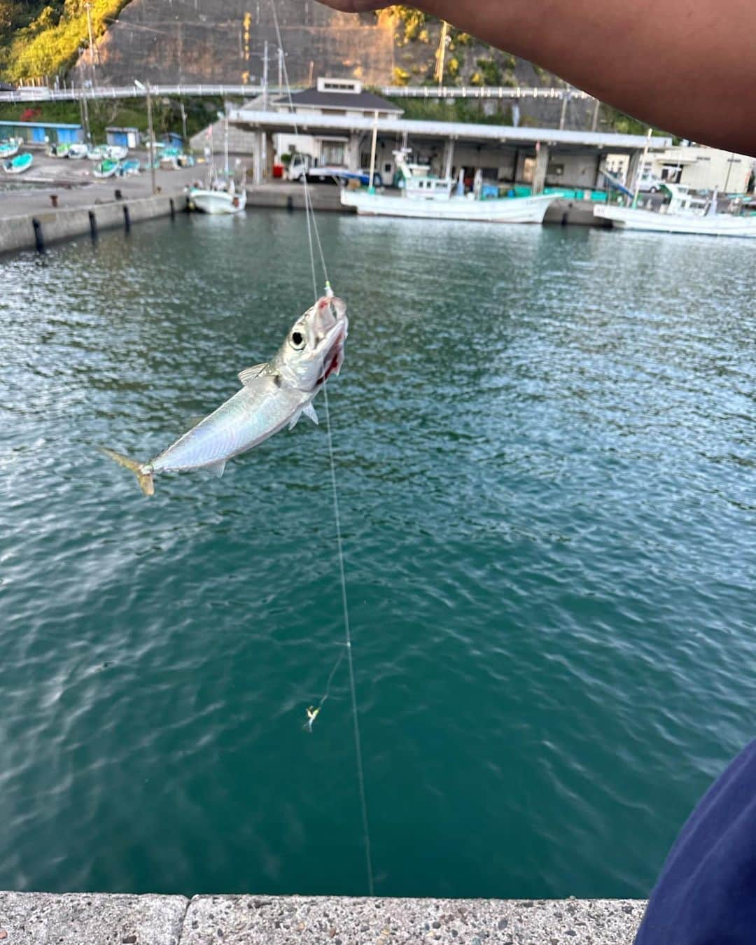 池間夏海さんのインスタグラム写真 - (池間夏海Instagram)「🐠  ドラマ［ #放課後ていぼう日誌 ］ 配信まであと①ヶ月をきりました🎣⭐︎  こちらは初めて鯖を釣れたときの写真 :D  にんまり」5月15日 11時47分 - ikemanatsumi_official