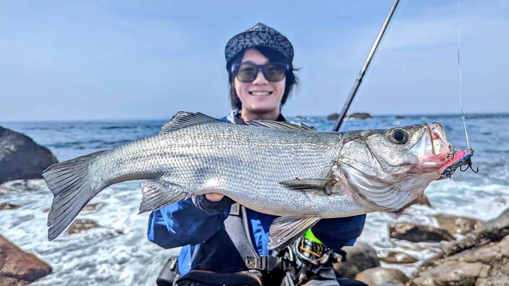 外山将平のインスタグラム：「手前のシャローエリアをより丁寧に誘いたいときは　　　　　　　　　　　　 メタルシャルダスの15gで🐟　　　　　　　　　　　　　　　　　　　　　　　 　　　　　　　　　　　　　　　　　　　　　　　　 #BlueBlue #アングラーズマイスター　　　　　　　　　　　　　　　　　　　　　　　　　　　　　　　 #TOKYO　　　　　　　　　　　　　　　　　　 #メタルシャルダス　　　　　　　　　　　　　　　　　　　　　　　　　 #ヒラスズキ　　　　　 　　　　　　　　　　　　　　　　　　　 　　　　　　　　　　　　　　　　　　　　　　　　　 　　　　　　　　　　　　　　　　　　　　　  ◆釣りにかかわらず､出たゴミは持ち帰りましょう！ 一人一人の意識で自然は守れます。 釣り場､自然を大切に🐟　　　　　　　　　　　　　　　　  ◆キャスト時は必ず後方確認をして ルアーや針が歩行者､同行者に当たらないようにしましょう。　　　　 　　　　　　　　　　　　　　　　　　　　　　　　　　　　　　 ◆釣り際はライフジャケット着用をお願い致します。　　　　　　　 命を守りましょう！　　　　　　　　　　　　 　　　　　　　　　　　　　　　　　　　　　 ◆YouTube⇩(始めました！チャンネル登録お願いします😊) https://youtube.com/channel/UC07x3DbJCNv_gAFvAjaWQMQ　　　　　　　 　　　　　　　　　　　　　　　　　　　　　  ◆アングラーズ↓🎣 将平(syohei) https://anglers.jp/users/530231 こちらもチェックお願い致します🐟　　　　　　　  ◆Twitter↓ https://mobile.twitter.com/syohei_1108 こちらもフォロー宜しくお願い致します！🙇‍♂　　　　　 　　　　　　　　　　　　　　　　　　　　　　　　　　　　　　　　　　　　　　　　　　　　　　　 　　　　　 　　　　　　　　　　　　　　　　　　　　 　　　　　　　　　　　　　　　　　　　　　　　　　　　　 #今日の外山 #俳優 #外山将平  #釣り好きな人と繋がりたい #釣りスタグラム #シーバス #東京湾奥 #釣りの成長記録 #釣りで人生を豊かに  #fishing #lurefishing #lure #bass #catchandrelease #fish #fishinglife #bigfish #lunker #angling #instafish  #bassfishing #seabass」