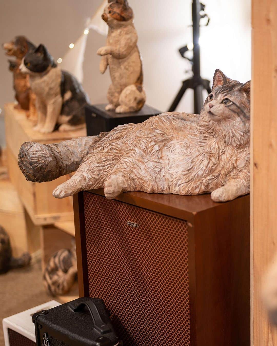 近藤研二さんのインスタグラム写真 - (近藤研二Instagram)「久しぶりのモイ座り。こんな座り方でリラックスできるモイは完全室内飼いになったイエネコの遺伝子が強いのかなあ。ウニもウニらしく寛いでいる。2,4,5枚目は日本中を旅する木彫りのモイウニ。今はおかざき世界子ども美術館博物館のスピーカーの上にいます。LモイRウニ  #モイとウニ #近藤モイ #モイチン #モイ202305 #モイ8才1ヶ月 #近藤ウニ #uni #ウニ202305 #ウニ6歳11ヶ月 #モイ座り #小首かしげのウニ #はしもとみお」5月15日 12時15分 - kenjikond0