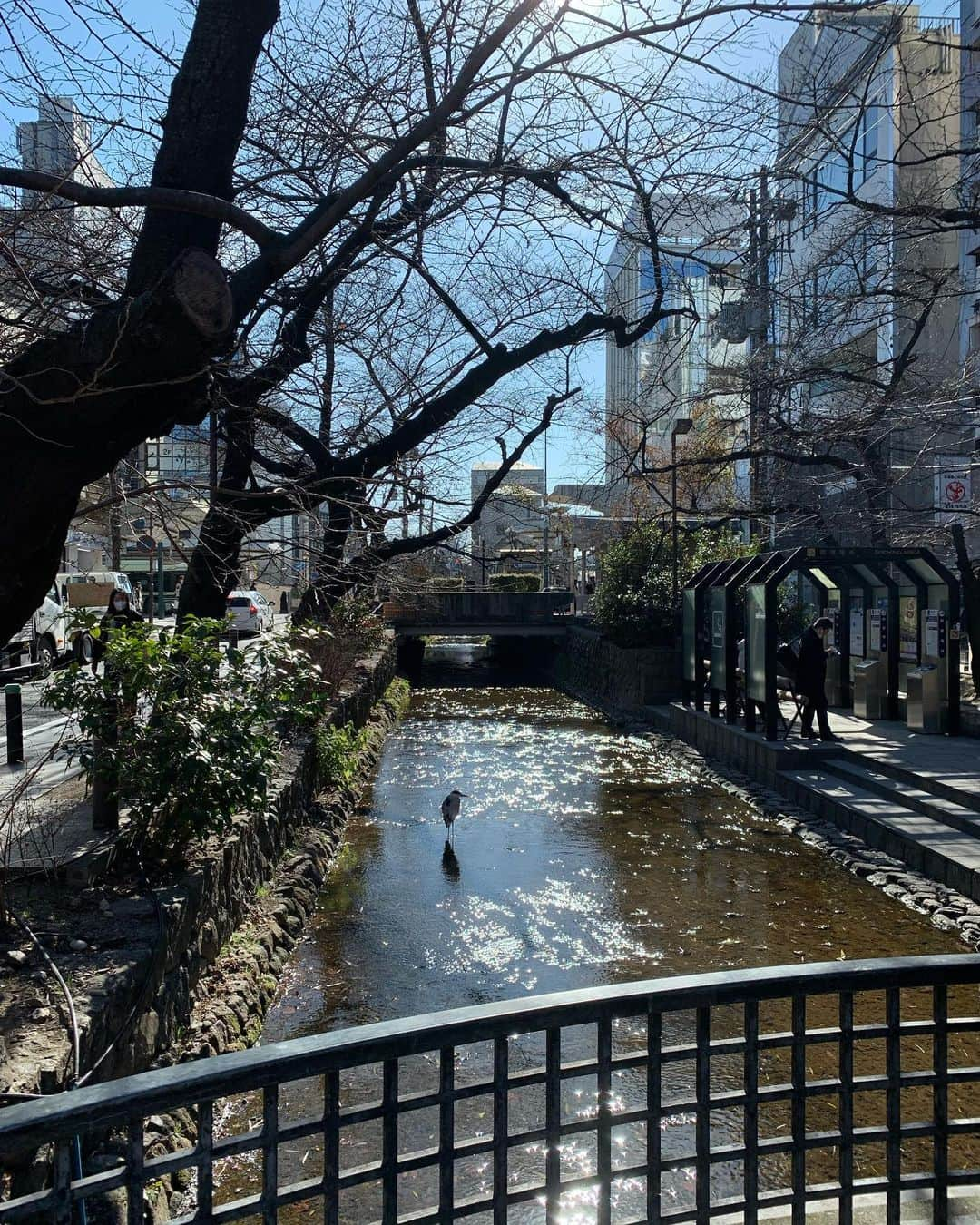 チョン・ユミさんのインスタグラム写真 - (チョン・ユミInstagram)「입입!!🦆🦢🦩🦤」5月15日 12時44分 - yum_yum