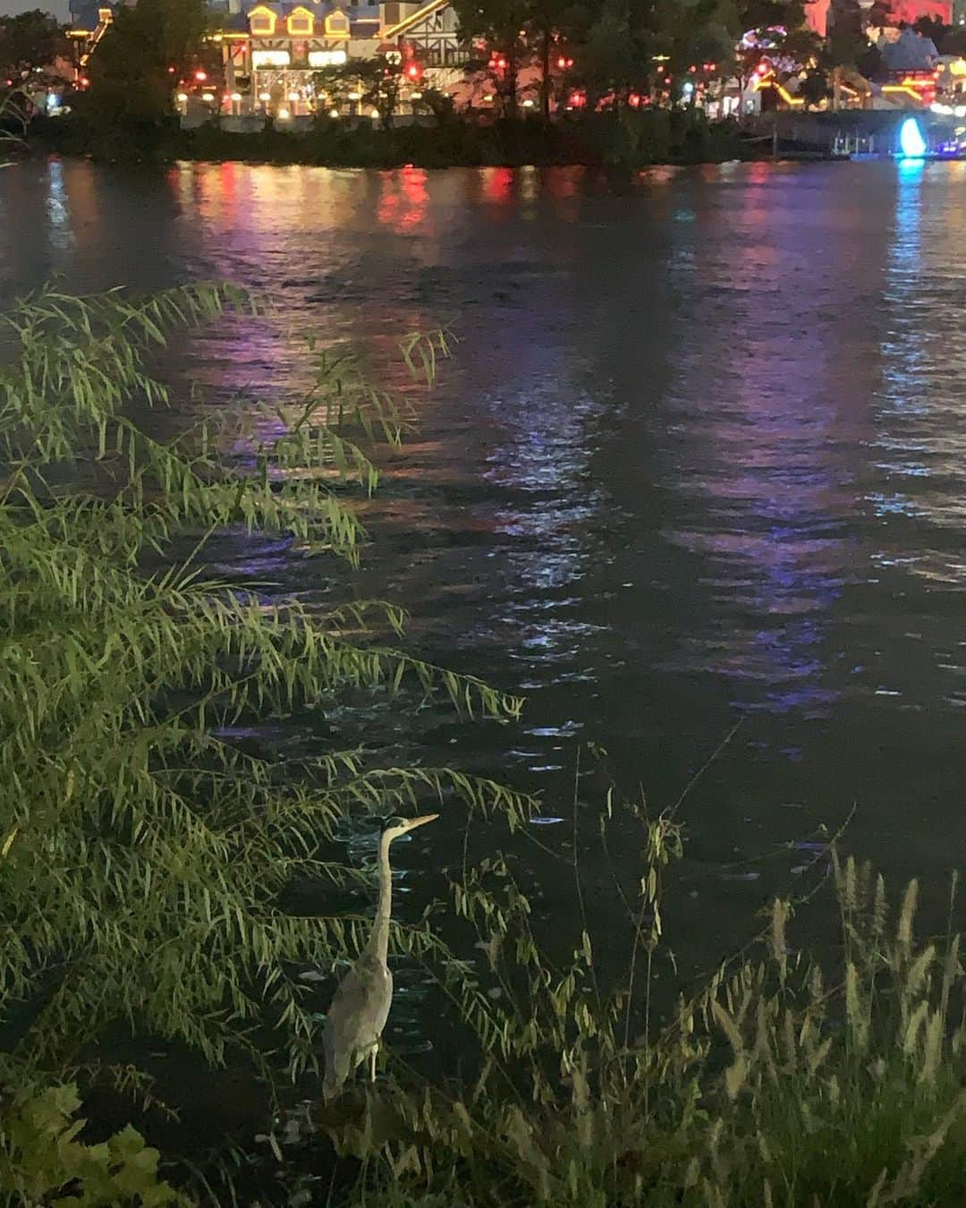 チョン・ユミさんのインスタグラム写真 - (チョン・ユミInstagram)「입입!!🦆🦢🦩🦤」5月15日 12時44分 - yum_yum