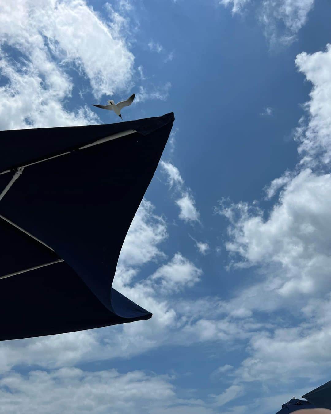 ネリー・コルダさんのインスタグラム写真 - (ネリー・コルダInstagram)「Little R&R 🏝️ after a tough ...