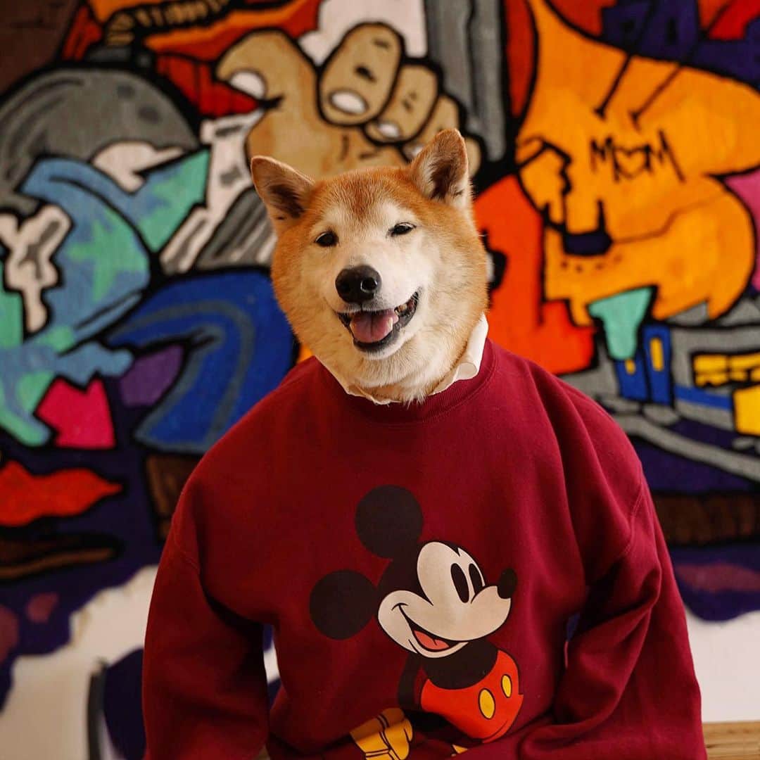 Menswear Dogのインスタグラム：「Posting a flattering picture of myself to congratulate mother on her special day 😏  Swipe to see my sneaky tribute 👉  All jokes aside, Happy Mother’s Day to Mothers, dogmoms, catmoms, stepmoms, foster moms, moms of blended families, mothers-to-be and mothers of mothers. We see you and celebrate you all 🎉  Here’s to love ❤️  #happymothersday」
