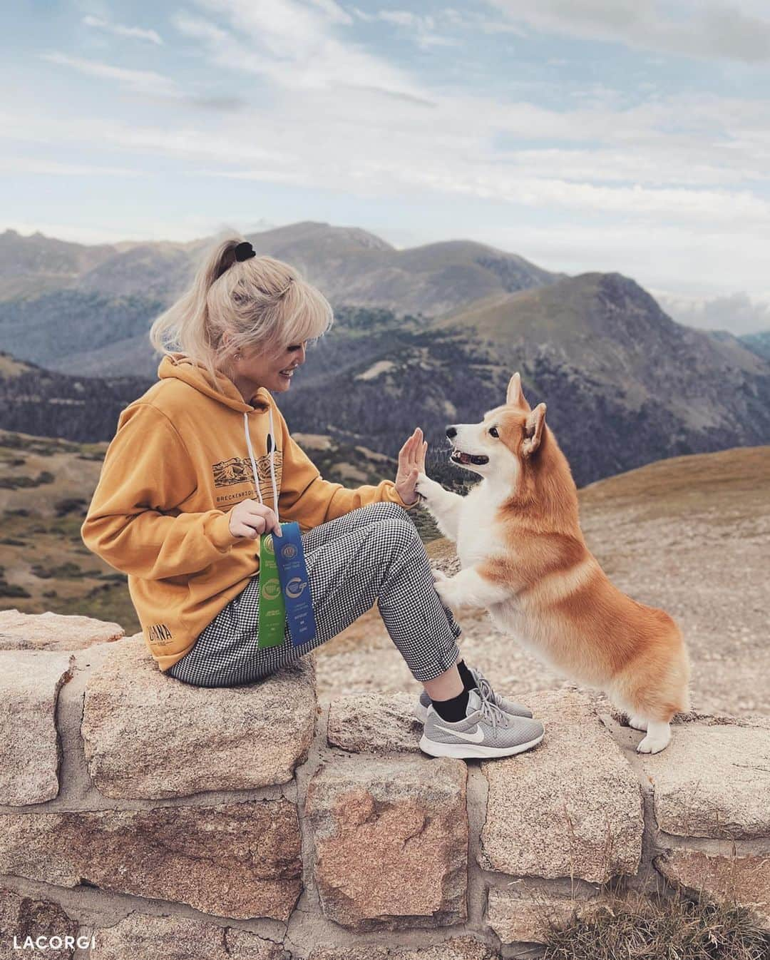 Geordi La Corgiさんのインスタグラム写真 - (Geordi La CorgiInstagram)「Happy Mother’s Day to all the moms & dog moms! 💛 (swipe to see Geordi’s mom Luna 🌈 and Scotty’s mom Ella)」5月15日 6時25分 - lacorgi