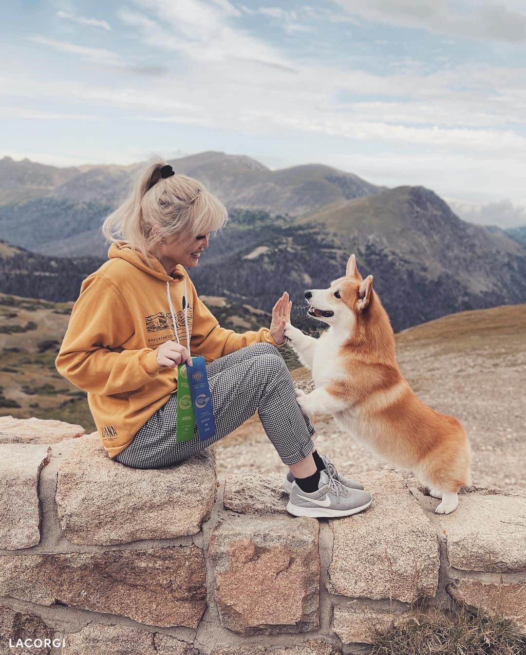のインスタグラム：「Happy Mother’s Day to all the moms & dog moms! 💛 (swipe to see Geordi’s mom Luna 🌈 and Scotty’s mom Ella)」