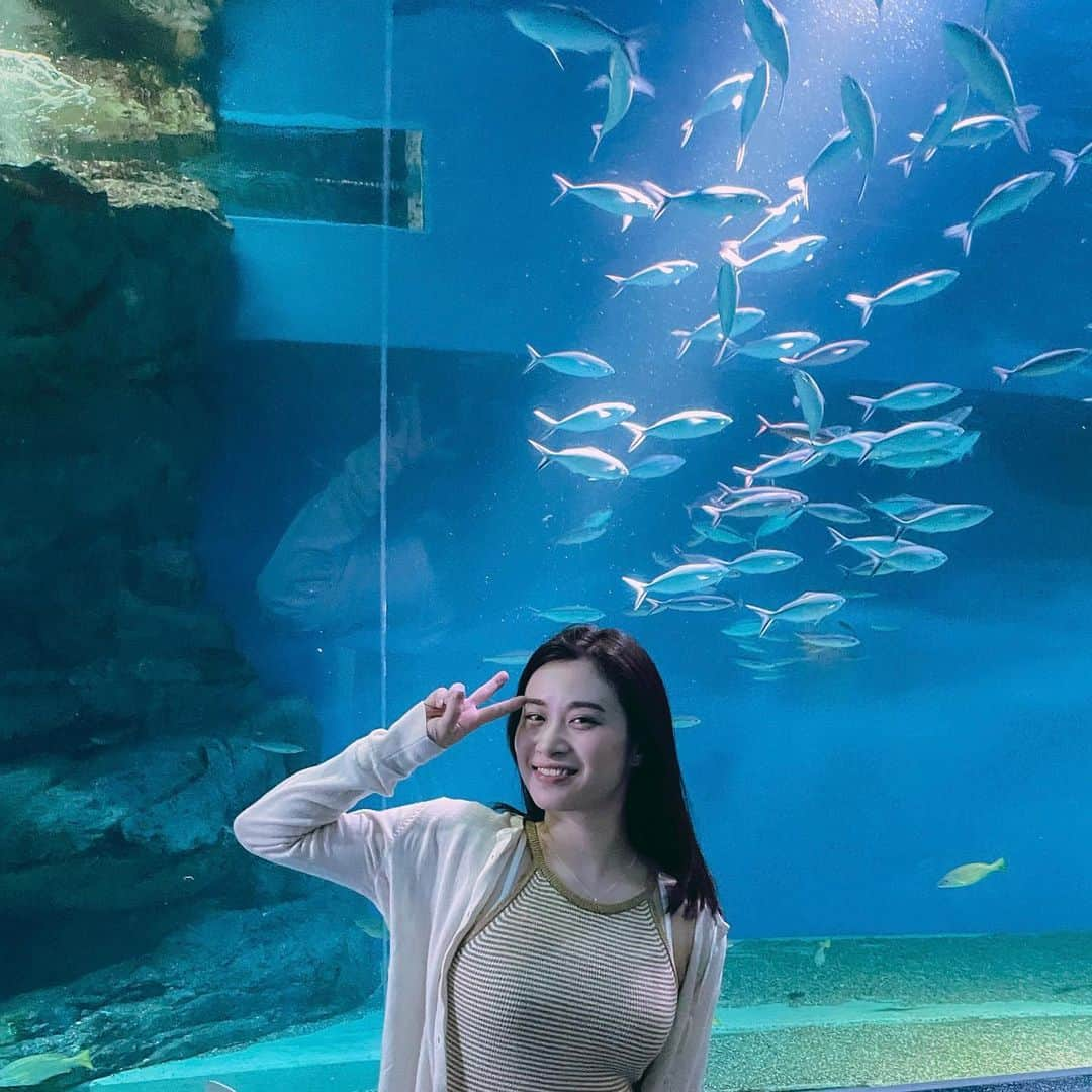 鈴木芳奈さんのインスタグラム写真 - (鈴木芳奈Instagram)「癒されましてん。 🐠🐟🐬🦀🐙🦑🐡🐋🦭」5月15日 7時57分 - tachibana_kanna