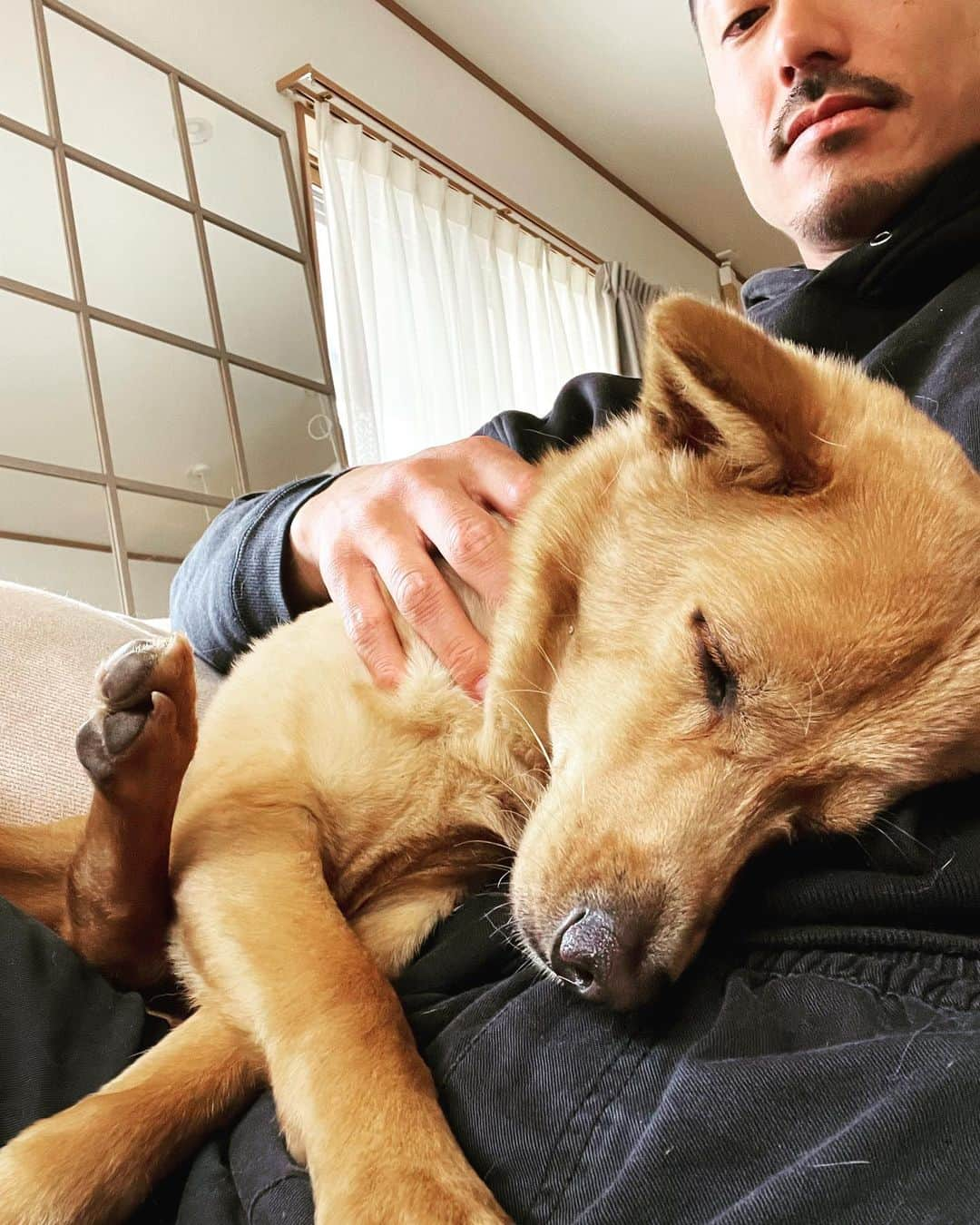 中村貴之さんのインスタグラム写真 - (中村貴之Instagram)「Ten & Sun🐕🐕❤️❤️」5月15日 8時24分 - taka_brew