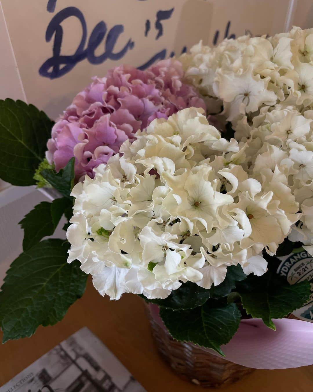 正中雅子さんのインスタグラム写真 - (正中雅子Instagram)「✋🌸♡  色んな人の投稿や街の花屋さんの様子を見て心温まる母の日でした☺️♡  私も子供達からたっぷりの愛情もらいました☺️ こちらこそ、母にしてくれてありがとう♡  まだまだ助けてもらってばかりの 2人のお母さんもいつもありがとう🫶  #母の日」5月15日 8時22分 - masacoshonaka