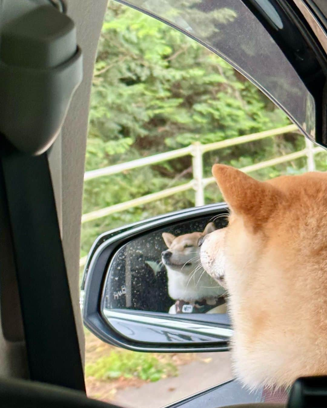 木佐貫まやさんのインスタグラム写真 - (木佐貫まやInstagram)「幸せいっぱいな楽しい休日でした❤️  久しぶりにアウトレット行ってみたら 可愛い夏服に、 お揃いのサンダルもゲットできた👱🏼‍♂️ 靴系のお揃い増えた✨  今日から月曜日ー🫨🫨🫨 なんとか遅刻せず👦🏼送り届けられた🌈  天気が微妙だけど頑張って行こー😆」5月15日 9時04分 - maaayaofficial