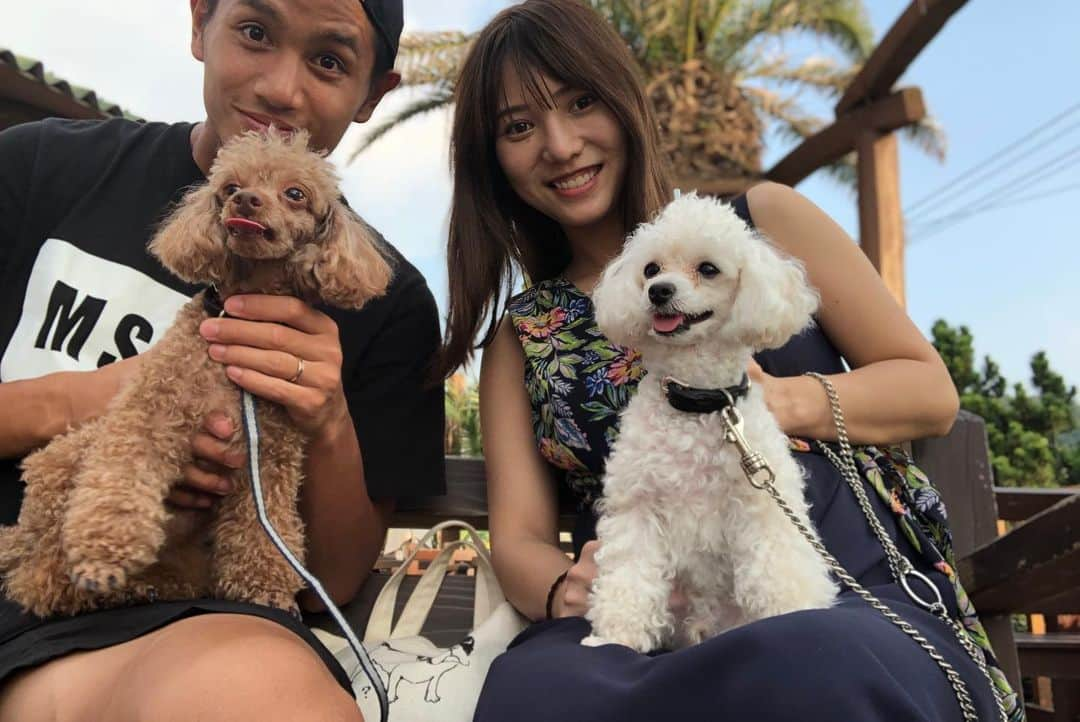 高城亜樹さんのインスタグラム写真 - (高城亜樹Instagram)「先日愛犬のまつりが天国へ旅立ちました。  てんかんの大きな発作からの 約2ヶ月間、入退院を繰り返しながらも 懸命に生きようとしていました。 小さな身体でよく頑張ったね。  とてもやんちゃで、甘えん坊で、食べるのが大好きだったまつり。  たくさんの想い出を胸に お見送りをしてきました。  たくさん甘えてくれてありがとう。  高橋家に来てくれてありがとう。  どうか、天国でゆっくり休んでね。  SNSや街で、まつりのことを可愛がってくれた皆様。 本当にありがとうございました。」5月15日 9時55分 - akiii_takajo