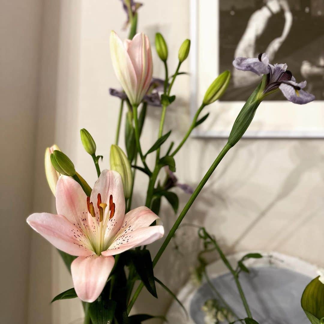 犬山紙子さんのインスタグラム写真 - (犬山紙子Instagram)「仕事先からいただいたお花が嬉しい  #花　#百合　#菖蒲　#インテリア　#フラワーベース #花瓶」5月15日 10時13分 - inuyamakamiko