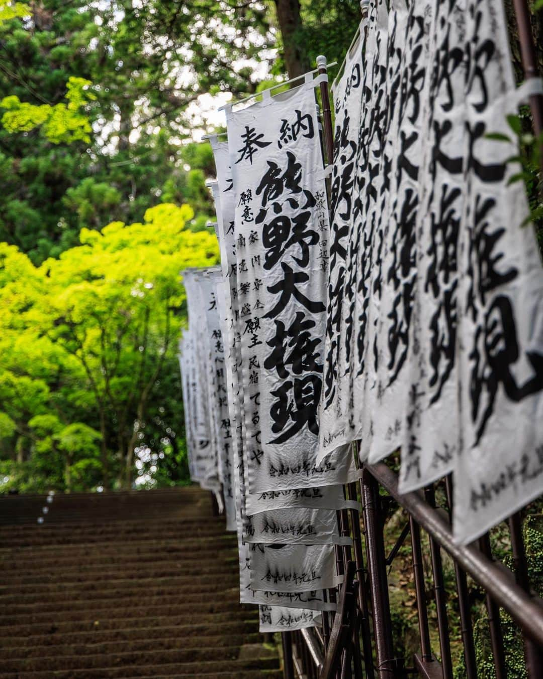 SHOCK EYEさんのインスタグラム写真 - (SHOCK EYEInstagram)「そっかあ、世界遺産の熊野を巡ってから、もう少しで一年になるんだね。  また近いうちに再訪したいな。  熊野三山、玉置神社、神倉神社、どこも本当に凄かった🙏✨  木々のパワー、自然のパワー、そして特有の信仰の形。  陸の孤島とも呼ばれている秘境、熊野、、 神社好きならば一度は訪ねてもらいたい場所です😊  #熊野大社 #熊野三山 #熊野古道 #那智の滝 #世界遺産 #worldheritage」5月15日 11時09分 - shockeye_official