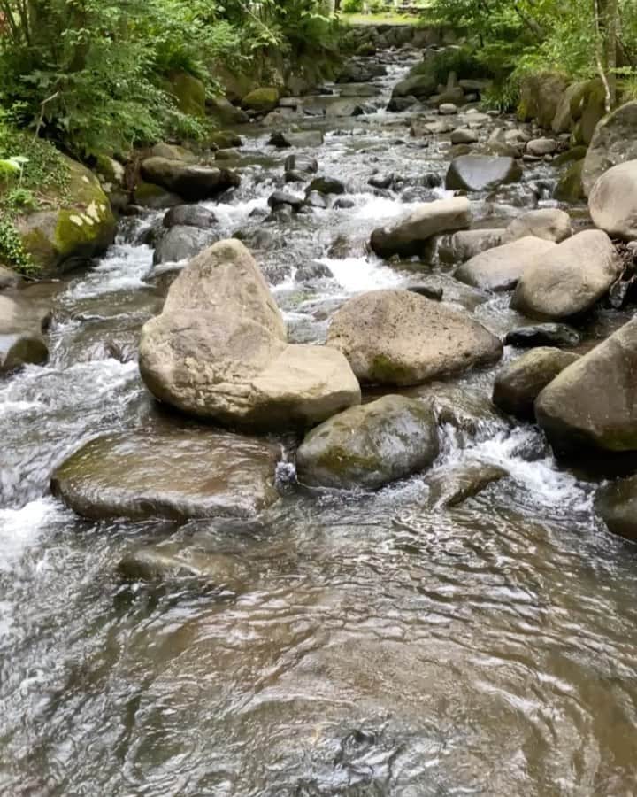 のインスタグラム：「#キャンプ場 🏕️ #自然 #清流 #森 #川 #キャンプ #小田原」