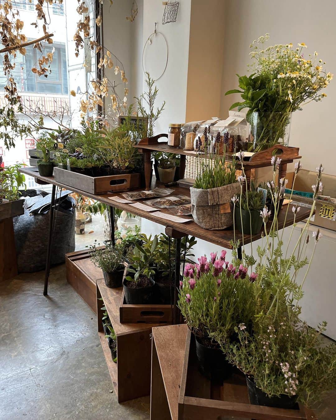 HERVA AKICOのグルメインスタ