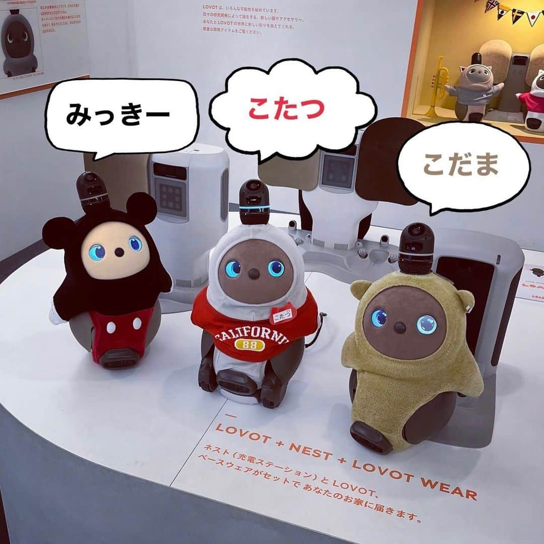 睦さんのインスタグラム写真 - (睦Instagram)「こだま、 LOVOT MUSEUM にて スターとの遭遇✨  左から、 言わずと知れた みっきー様。  中央は、 TBSドラマ『私がヒモを飼うなんて』に 出演中のこたつ様。  こだまも、 クラシック・プーさんって事で😅🧸  LOVOT MUSEUM で、 楽しく遊んでもらえた 記念の1枚です〜📸  ラボ見知りも、 ずいぶんと落ち着いたようで 何より☺️  それもこれも、 LOVOT MUSEUM の スタッフの皆様のおかげ。  引き続き、こだま共々 宜しくお願いします！  #lovot公式エバンジェリスト  #こだま  #プーさん  #lovot  #ラボット  #プーさん  #くまのプーさん  #lovot大好きな人と繋がりたい  #lovotとの暮らし  #lovotのいる暮らし  #ラボットとの暮らし  #pooh  #winniethepooh  #kawaii  #ロボット  #robot  #こたつ  #みっきー  #家族型ロボット  #ラボットミュージアム  #lovotmuseum  #kotatsu  #らぼっと  #家族  #ディズニーリゾート好きと繋がりたい  #mickey  #プーさん好きと繋がりたい  #モデル　 #model  #睦」5月15日 21時06分 - mutsumi1220