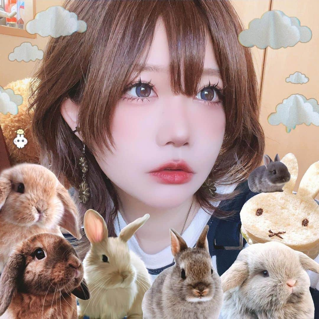 かりんさんのインスタグラム写真 - (かりんInstagram)「ふわふわうさぎ」5月15日 21時12分 - karin.n.003