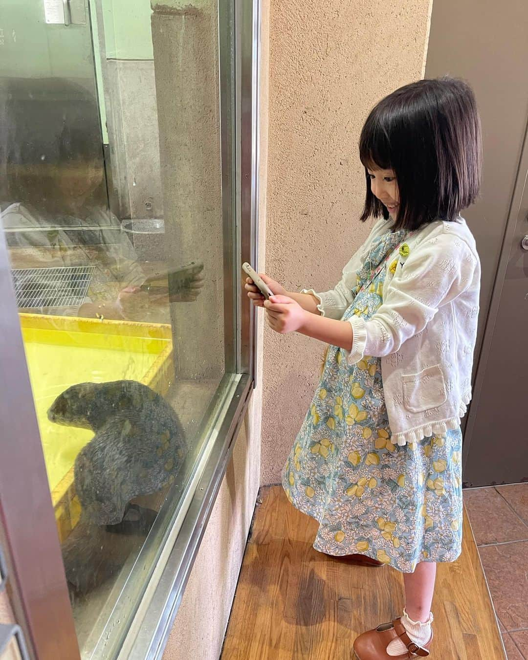 浜﨑日香里さんのインスタグラム写真 - (浜﨑日香里Instagram)「⁡ 昨日は、丸一日あおいちゃんと過ごしました👭 ⁡ ずっと前から約束してた、パンケーキを 食べに行って動物園に行くというコース🦁🦒 見頃のバラも見られました🌹 ⁡ あおいちゃんお目当てのカワウソも 見られて本当に良かった🥹❤️ カワウソブースには30分以上いて 必死にカワウソ追いかけて動画撮る姿が 愛おしくて愛おしくて…😂💗 ⁡ 嬉しいことに似ていると言われることが 多いのですが、実は性格がそっくりでして😂 1日中一緒にいても疲れないどころか、 時間が足りないくらい😂😂 夜はうどんを食べて解散しました🙏 ⁡ 沢山喋って沢山笑って沢山食べる あおちゃんが大好き😘😘  お誕生日プレゼントのワンピースと帽子も 似合っててよかったぁ👗👒」5月15日 21時16分 - hamasaki_hikari