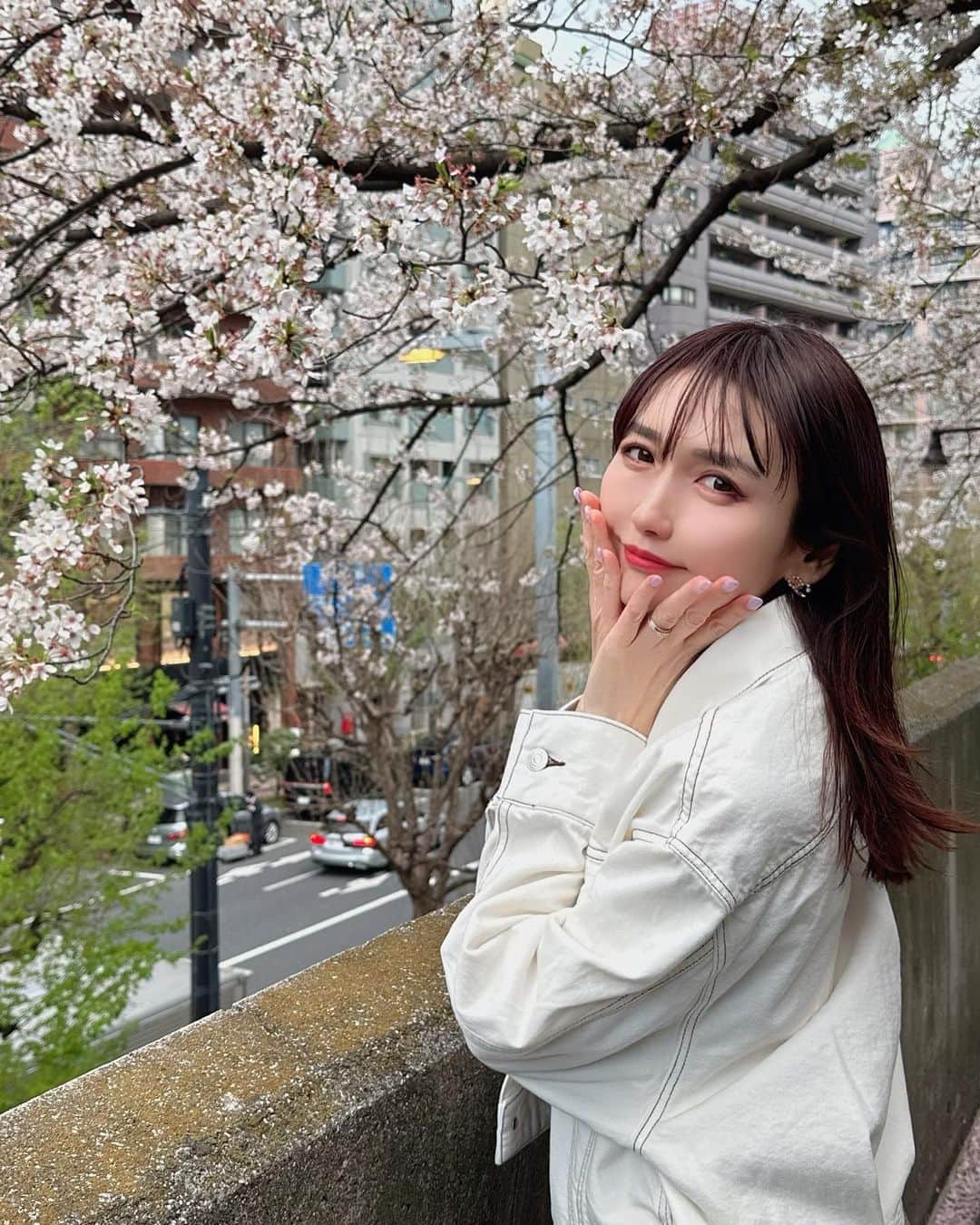 momoさんのインスタグラム写真 - (momoInstagram)「. お花見したとき🌸  . #お花見#新宿#熊野神社#snidel#cocodeal#dior」5月15日 21時24分 - momomonyan