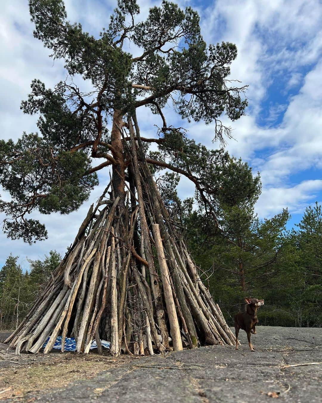 田中亜土夢さんのインスタグラム写真 - (田中亜土夢Instagram)「MAJA🇫🇮 #MAJA#Suomi#Finland#Helsinki#finnishculture#KINTO#snowpeak」5月15日 21時27分 - atom_tanaka_official