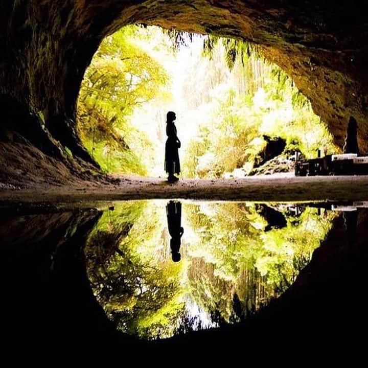 ジェットスター航空さんのインスタグラム写真 - (ジェットスター航空Instagram)「行きたい！と思ったら【いいね❤️】 #jettabi_japan #鹿児島編🍠 大自然の神秘を感じるパワースポット #溝ノ口洞穴  数千年の長い年月をかけ、霧島山系の湧き水により浸食されてできたと言われるこの洞窟。入り口の幅は14.6m、高さは最大6.4m、全長は209.5mあるんだとか😲🔍  昭和30年（1955年）には鹿児島県の天然記念物に、令和3年（2021年）には曽於市の国指定文化財に登録されており、暗い洞窟の中から見る外の景色は、木々の緑🍃に鳥居⛩️の赤が映えてとっても幻想的😆✨  パワースポットとしても人気の地なので、パワーチャージしたい方にぴったりでスター🔮⭐️  【溝ノ口洞穴】 📍鹿児島県曽於市財部町下財部4907付近 -------------------------------------------- ／ 📣ジェットスターなら、鹿児島まで ＼ ✈︎東京（成田）から 片道¥5,590〜  鹿児島～東京（成田）路線は、おかげさまで5月31日に就航10周年を迎えます🎉 今後もより多くのお客様に、安全かつ安心してご利用いただける気軽な空の旅を提供してまいります✈️  --------------------------------------------  ジェットスター・ジャパン公式アカウント（@jetstar_japan）では「“次に行きたい”が見つかる」をテーマに就航地の魅力をご紹介✈️⭐️「#jettabi_japan」をつけて、皆さんのFun&Happyな旅の思い出をぜひご投稿ください！素敵なお写真は、公式アカウントでご紹介させていただきます♪  ⭐️Special thanks📸 by @chocochips29（1枚目） / @yoshi_mo_sun（2枚目） / @aya_dream04（3枚目） / @ko_ngt.109（4枚目） / @izam_7074（5枚目） --------------------------------------------  ※運賃はエコノミークラス「Starter」。支払手数料、空港使用料等が別途必要です。受託手荷物の料金は含まれません。諸条件が適用されます。 ※就航地のご紹介内容に関する最新情報は、下記の参照サイト等でご確認ください。 -------------------------------------------- 【参照サイト】 鹿児島観光サイト「かごしまの旅」 --------------------------------------------  #鹿児島 #鹿児島観光 #鹿児島旅行 #ジェットスター #jetstar #jetstar_japan #LCC #飛行機 #trip #旅好きな人と繋がりたい #九州 #九州観光 #九州旅行 #国内旅行 #鹿児島ドライブ #鹿児島デート #kagoshima #コスパ旅 #女子旅 #鹿児島絶景 #九州絶景 #鹿児島パワースポット #曽於市 #カゴスタグラマー #パワースポット #九州パワースポット」5月16日 18時00分 - jetstar_japan