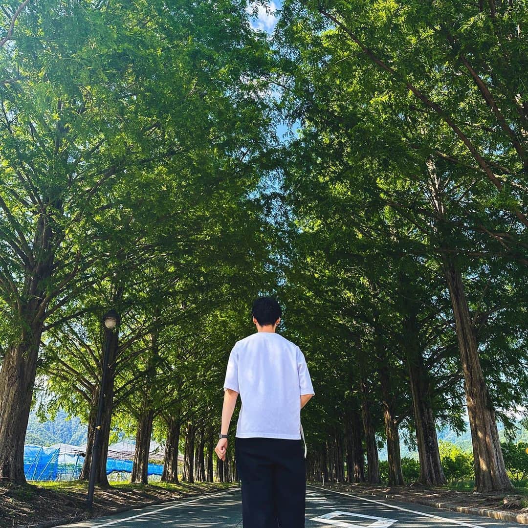 のインスタグラム：「・ 🌳🌳🌳  #東京京都生活」