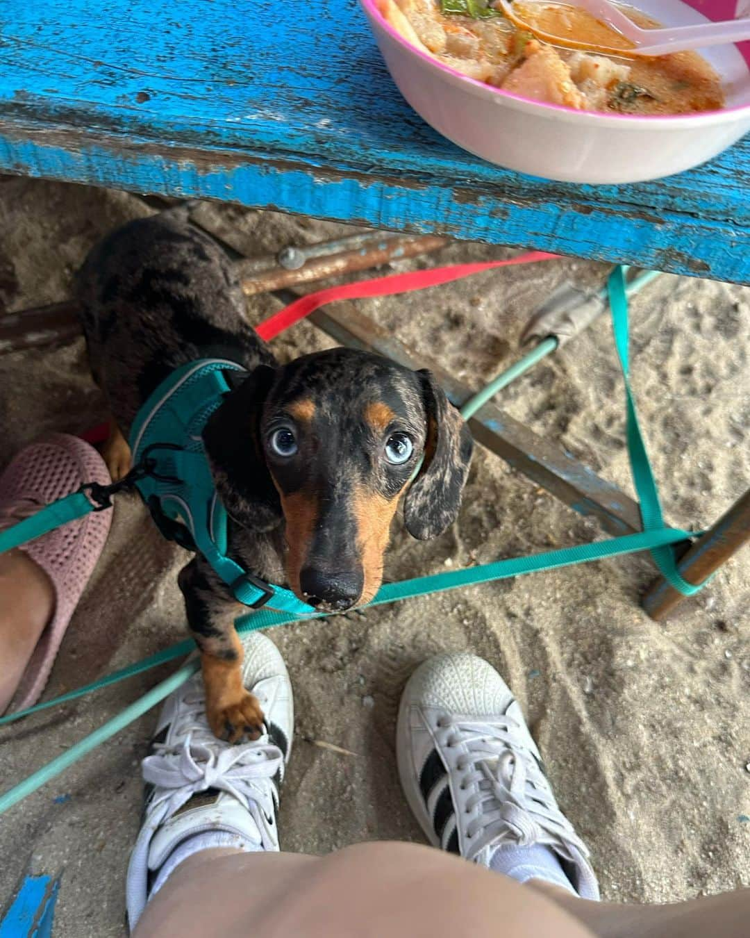 ヤンニーン・ワイゲルさんのインスタグラム写真 - (ヤンニーン・ワイゲルInstagram)「Happier days to come🧡🌞」5月15日 14時55分 - jannineweigel