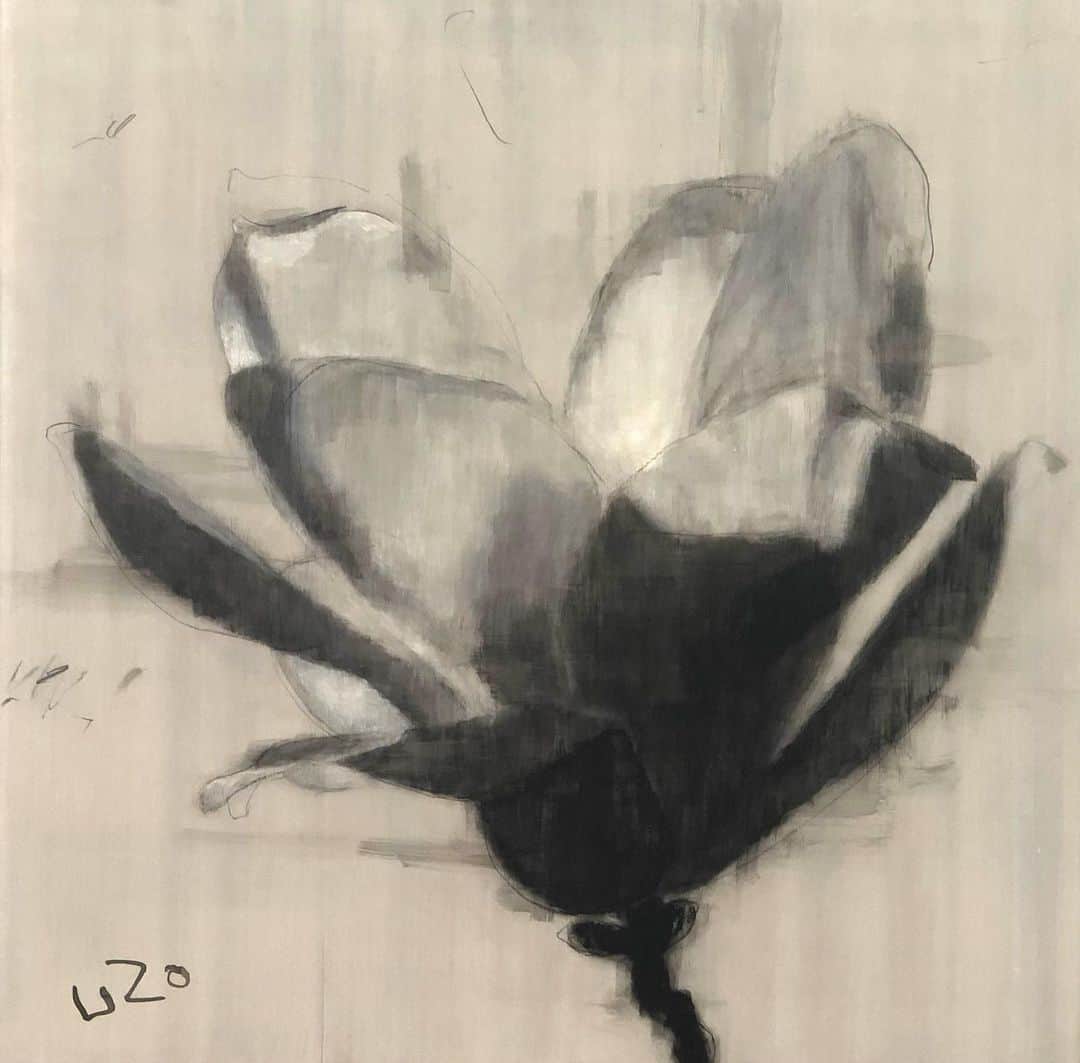 Uzo Hiramatsuのインスタグラム：「「華笑」60㎝×60㎝ SOLD！ 🤍 Thank you very much.  #painter #Japan #fukuoka #contemporaryart #painting #drawing #mixedmedia  #flower  #flowers」