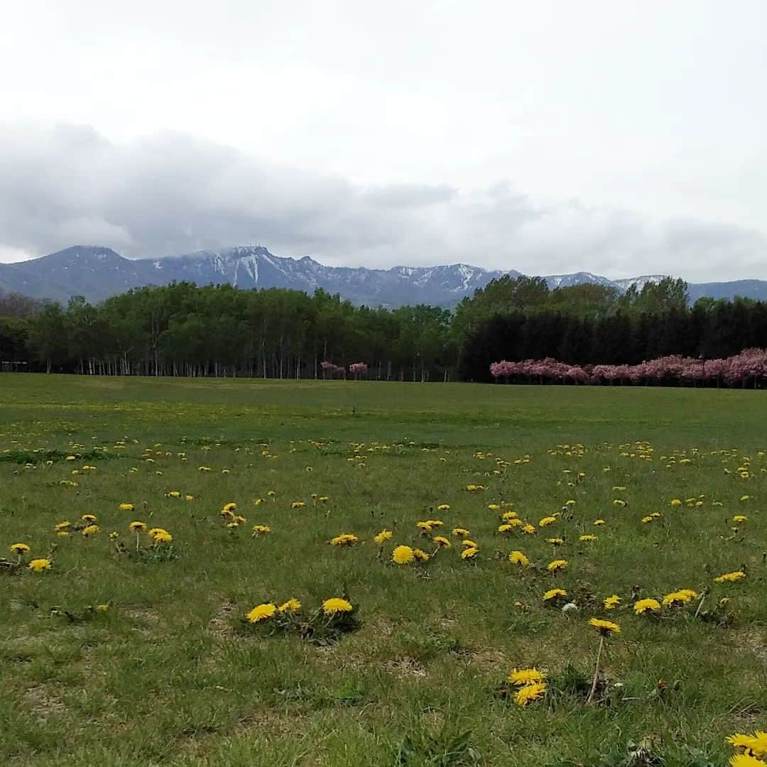 HBC北海道放送アナウンス部のインスタグラム