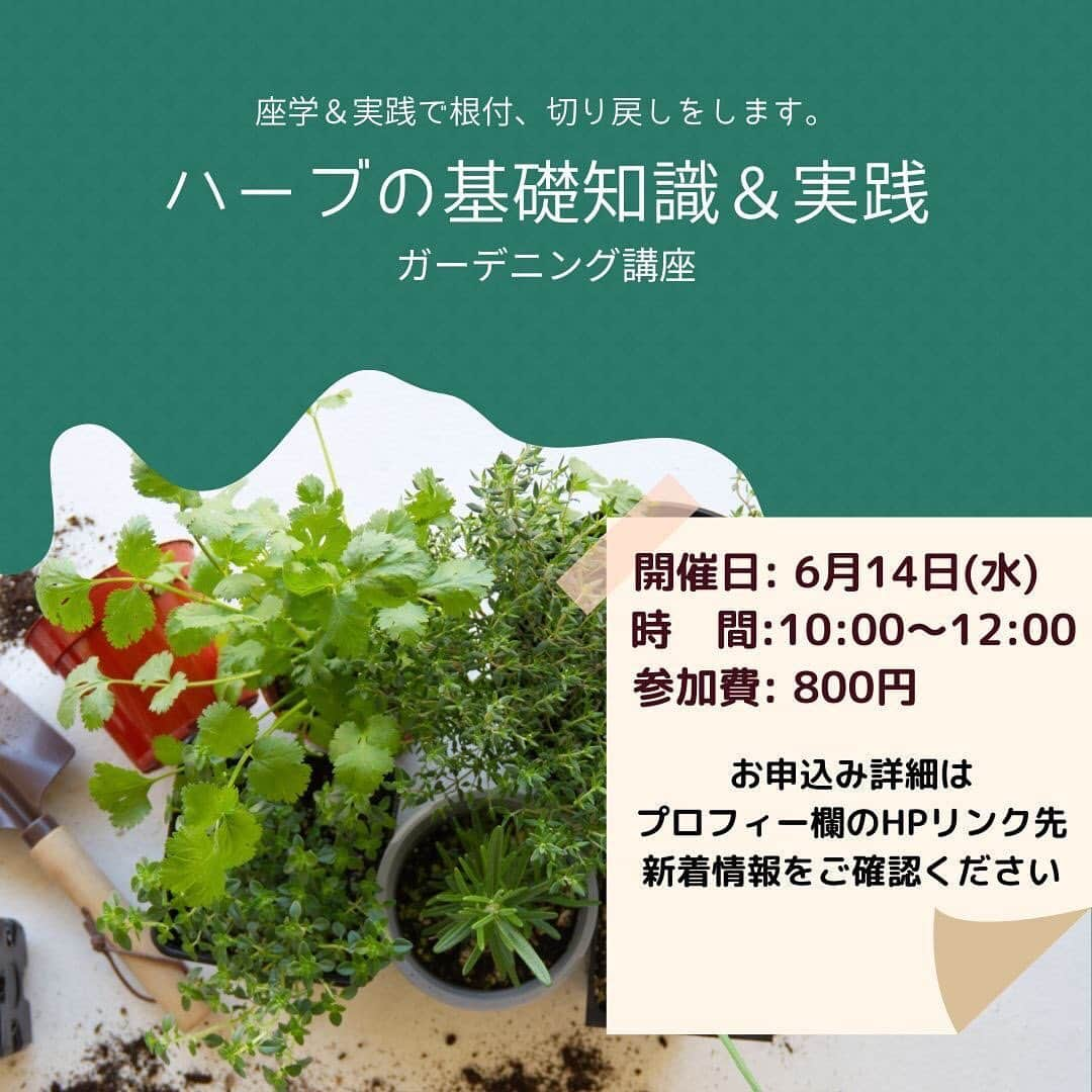 道の駅やちよさんのインスタグラム写真 - (道の駅やちよInstagram)「\6月ガーデニング教室開催決定/ 5月17日(水)午前9時からWebにて申し込み開始です！  🔻詳しくは当センターHPにてご確認ください！  #道の駅 #道の駅やちよ #道の駅巡り #八千代市 #地産地消 #農産物直売所 #新鮮野菜 #野菜好き #野菜たっぷり #ガーデニング講座 #やちよ農業交流センター」5月15日 15時45分 - michinoeki_yachiyo090720