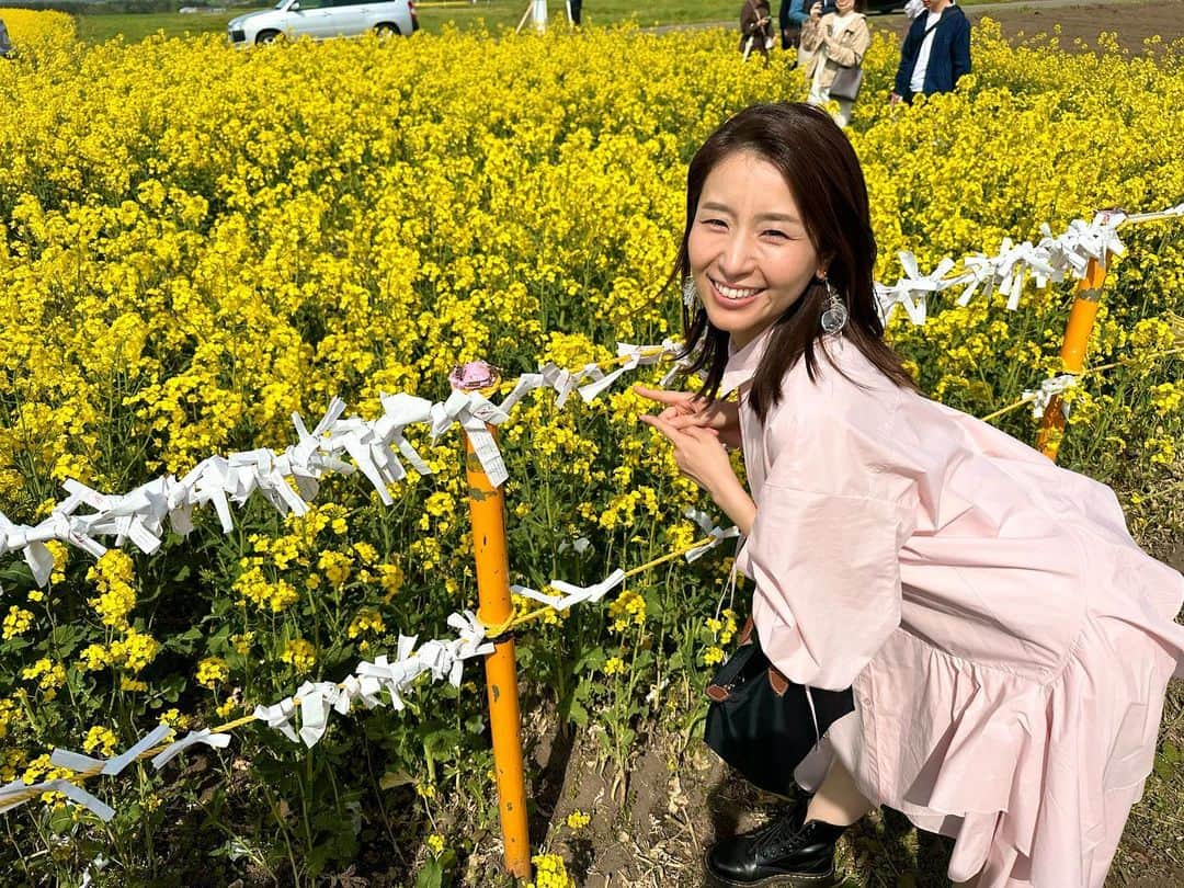 高坂友衣さんのインスタグラム写真 - (高坂友衣Instagram)「. よっちゃんと菜の花🌼①  今年のゴールデンウィークは よっちゃん @yoshikosakamoto_aba  と 横浜町の菜の花を見てきました。  想像を遥かにこえる、 黄色💛💛💛‼︎  桜の妖精みたいな ピンクのワンピースを着てきたよっちゃん。 映えるー！ 素敵ー🥰  #菜の花恋占い中吉でした #私の写真を撮るのに集中して花粉ほっぺにつけてました #顔はめパネルの顔出すことろここで合ってる ？鼻？」5月15日 15時46分 - yui_kosaka828