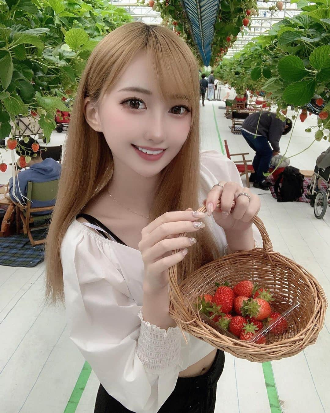 愛莉さんのインスタグラム写真 - (愛莉Instagram)「2年ぶり？にいちご狩り🍓 昔いちご世界で1番大好きだったな . . . #大阪#淡路島#いちご狩り#女子#北新地#歌舞伎町#キャバ嬢#北新地キャバクラ#ホスト#ギャル#清楚#ロリ#ワンピース#アイドル#セクシーコーデ#可愛い#可愛いくなりたい#いちご女子#金髪#インスタ映え#整形#いいね返し#ふぉろーした人で気になった人ふぉろー#ガリガリ#ティックトッカー#フォロー返し」5月15日 16時53分 - airi_alii