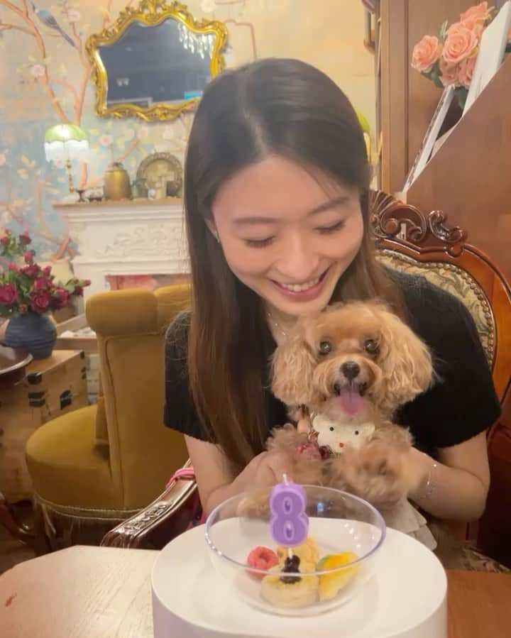 Ⓜ️їк◎ みこ 미코 ? Dogsのインスタグラム：「Happy 8️⃣th birthday 🎂 to me 🐶😃 생일축하해용 🥳 お誕生日おめでとう🎉」