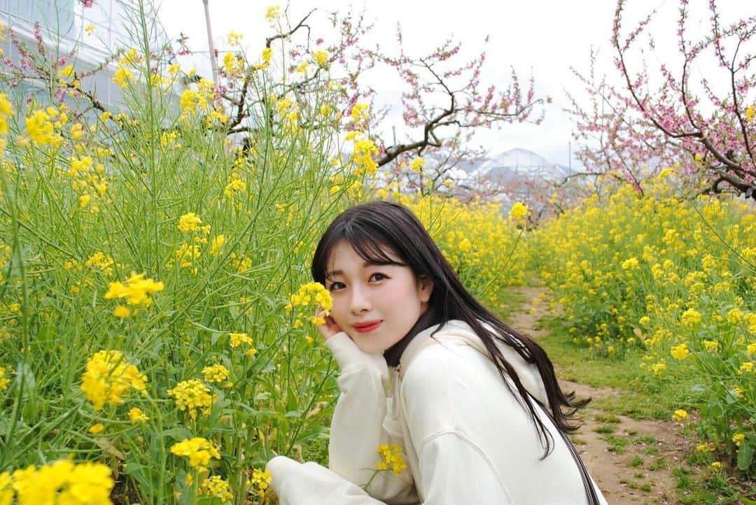 中西香菜のインスタグラム：「花粉症が落ち着いてきて嬉しい今日この頃🫨  あっという間に5月も終わってしまいそうで…誕生日でまた歳を重ねてしまうのが少し嫌だったりします🥵🥵  イベントは楽しみ☝️」