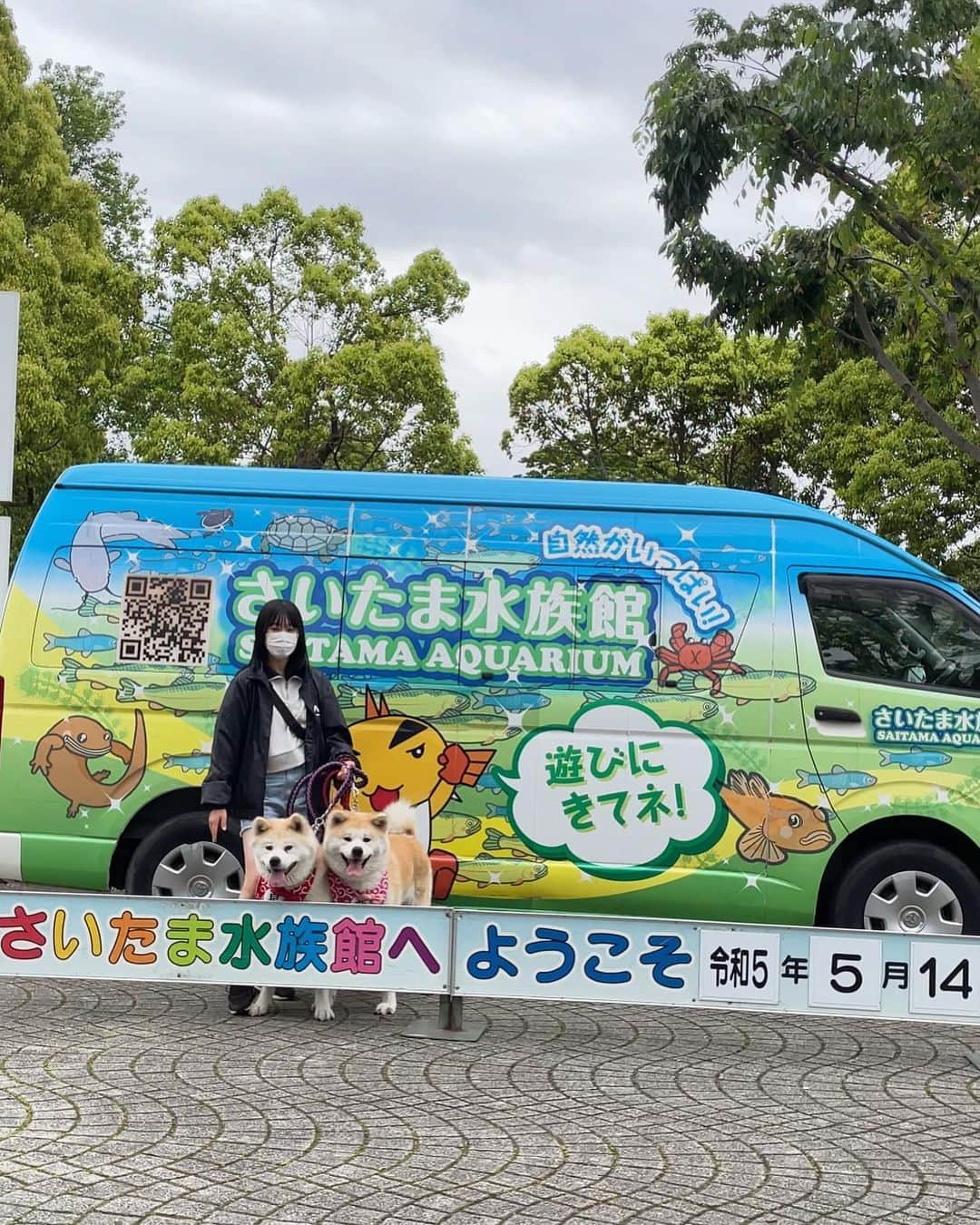 り～♬さんのインスタグラム写真 - (り～♬Instagram)「こんばん月曜日……🍚 ・ ・ 『明太高菜豚スタ丼』 ・ ・  昨日は愛犬（秋田犬）のイベントで「さいたま水族館」へ行って来ました🐟 一緒に行った次女が海の魚が見たいとブツブツ言い出したので埼玉から茨城の大洗水族館へ🐠  昨日は母の日だったのに…💐 散々お金を遣わせられ家族から何一つ労りの言葉もプレゼント🎁もありませんでした😑 なので少しづつ毒☠️でも盛ろうかと企んでいます👿ww  そして今日、末娘だけが残り少ない小遣いでプレゼントを買って来てくれました🥹三女だけには毒盛らないでおこうww  大洗の「めんたいパーク」で買った明太子と高菜で夕ごはん😋  #おうちごはん#夕ごはん#うちごはん#家族ごはん#料理#料理写真#手料理#献立#美味しい#うつわ好き#器#暮らし#食卓#おうちカフェ#食いしん坊#フーディテーブル#料理好きな人と繋がりたい#japanesefood#yummy#日々#日々の暮らし#dinner#delicious#foodpic#いろんな母の日のプレゼント投稿見るの虚しかった私です#可哀想私#薄情者」5月15日 18時27分 - riritantan