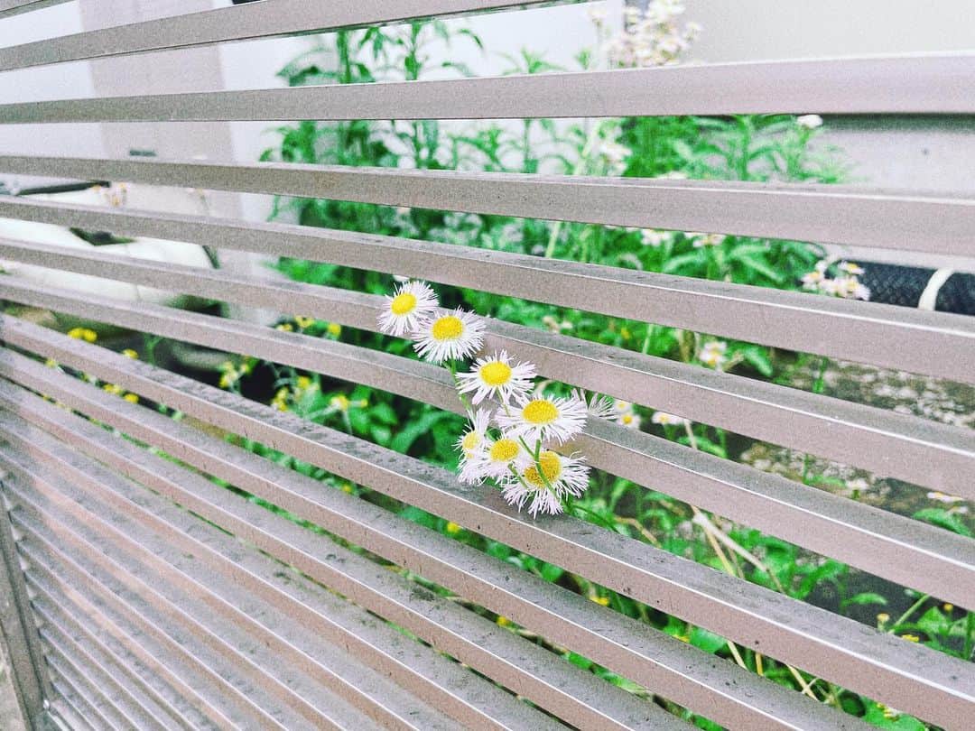 髙橋あやなのインスタグラム：「🫶🏻」