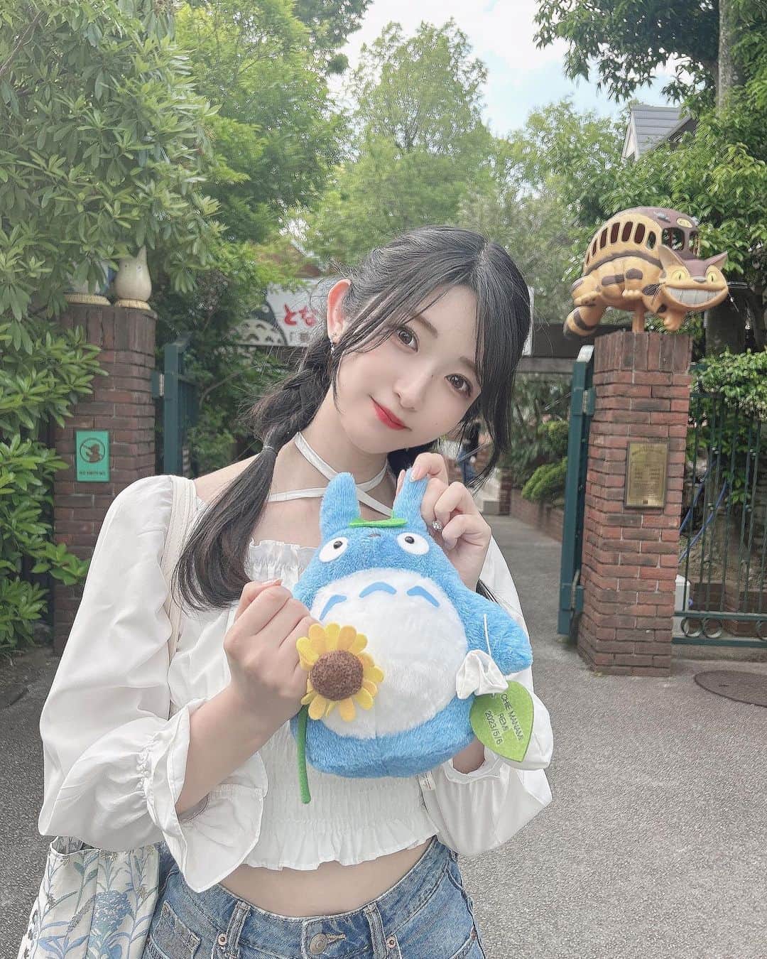 れみぱんのインスタグラム：「トトロ🌱」