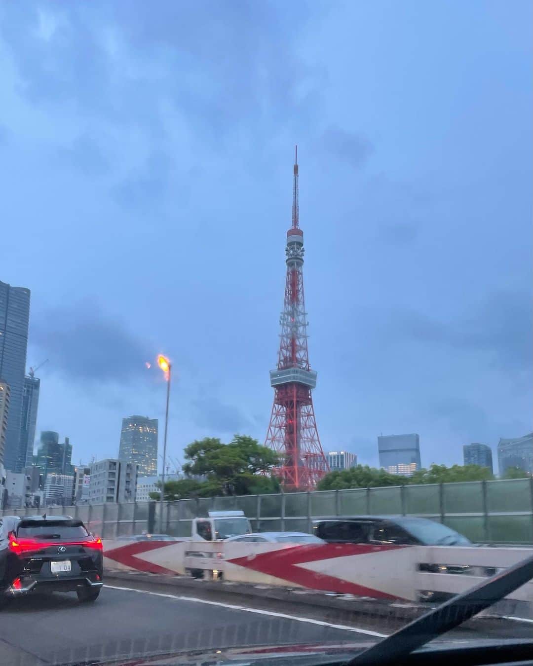 アグネス・チャンのインスタグラム：「回到東京了。東京小雨。但不冷。 休息一會兒，泡泡熱水澡。 準備明天電視節目的事項。」