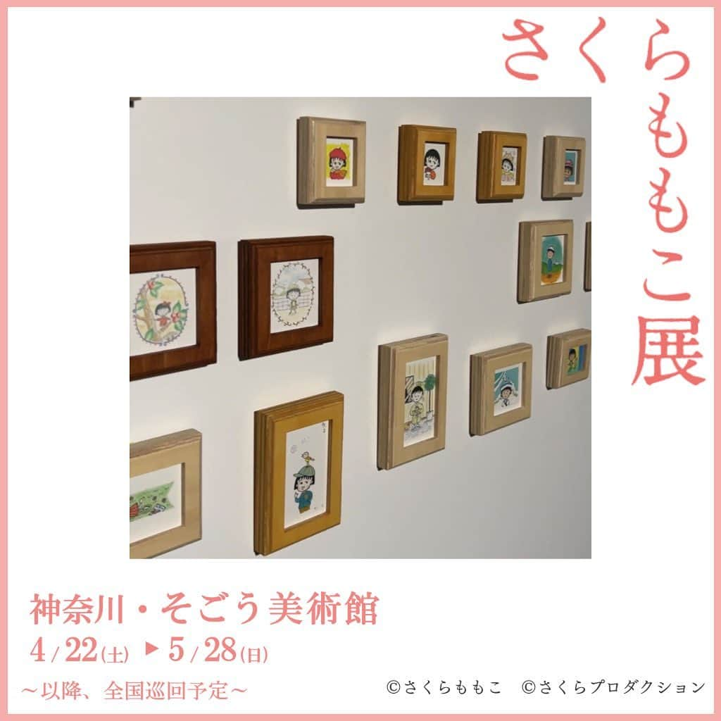 さくらももこスタッフのインスタグラム：「さくらももこ展_横浜 では、指定の2箇所だけ写真撮影が可能です✨  撮影可能エリアその② 終章「アトリエより」内一部エリア。 ひとつひとつ丁寧に描かれた小さなイラストたちが展示を締めくくります💐  #さくらももこ #ちびまる子ちゃん #コジコジ #まるコジ #漫画 #アニメ #イラスト #エッセイ #さくらももこ展 #横浜 #そごう美術館」