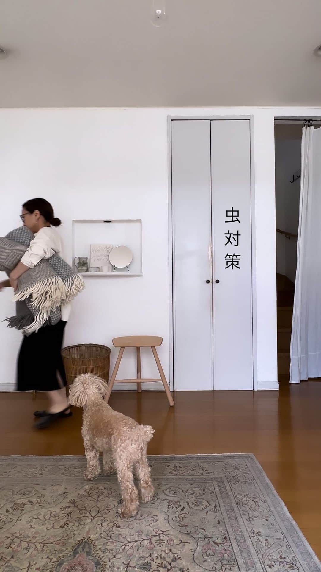 のインスタグラム：「入ったらなかなかでてくれないハエや、耳もとに飛んでくる蚊… 。不快な気持ちをすぐに解決してくれる殺虫剤は女性の強い味方です＾＾  最強・最速レベルの効きめですが、無香料、低刺激。ベタつきにくいドライ処方なので乳幼児がいるご家庭でも安心して使えます。 パッケージデザインも商品名もインパクトが強くて頼もしい＾＾ ギドラクス(ハエ蚊用)はネット販売なのでamazonからの購入がおすすめです。  #アース製薬#GiDORAX#メイドインジャパン#掃除#暮らし#暮らしを整える#リビング#玄関」